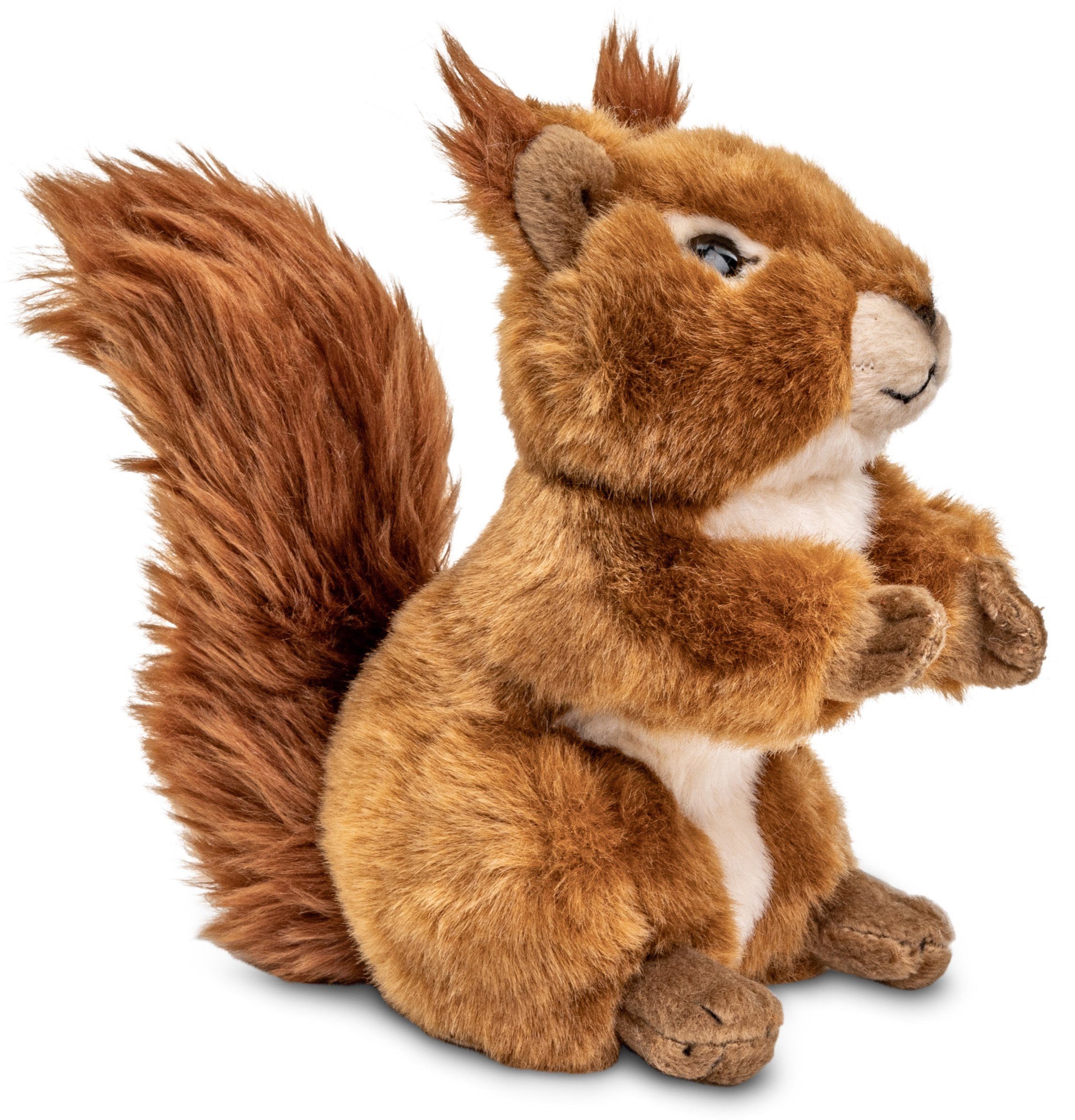 Cornelissen Eichhörnchen Plüschtier – Naturgetreu, Waschbar, 14 Cm