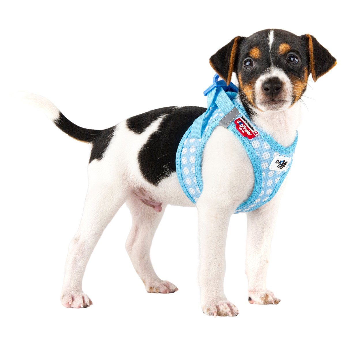 Curli Hunde-Geschirr Clasp Vest Geschirr Puppy günstig online kaufen