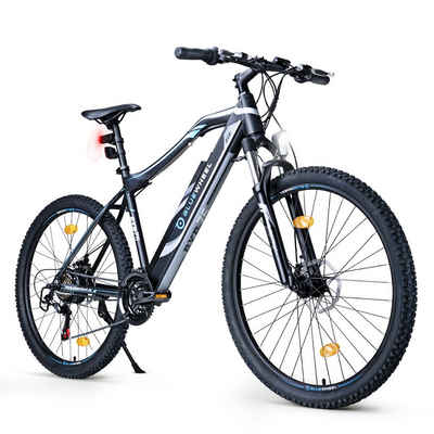 Bluewheel Electromobility E-Bike BXB75, 21 Gang SHIMANO, Kettenschaltung, Heckmotor 250,00 W, Deutsche Qualitätsmarke, EU-konform E-Mountainbike