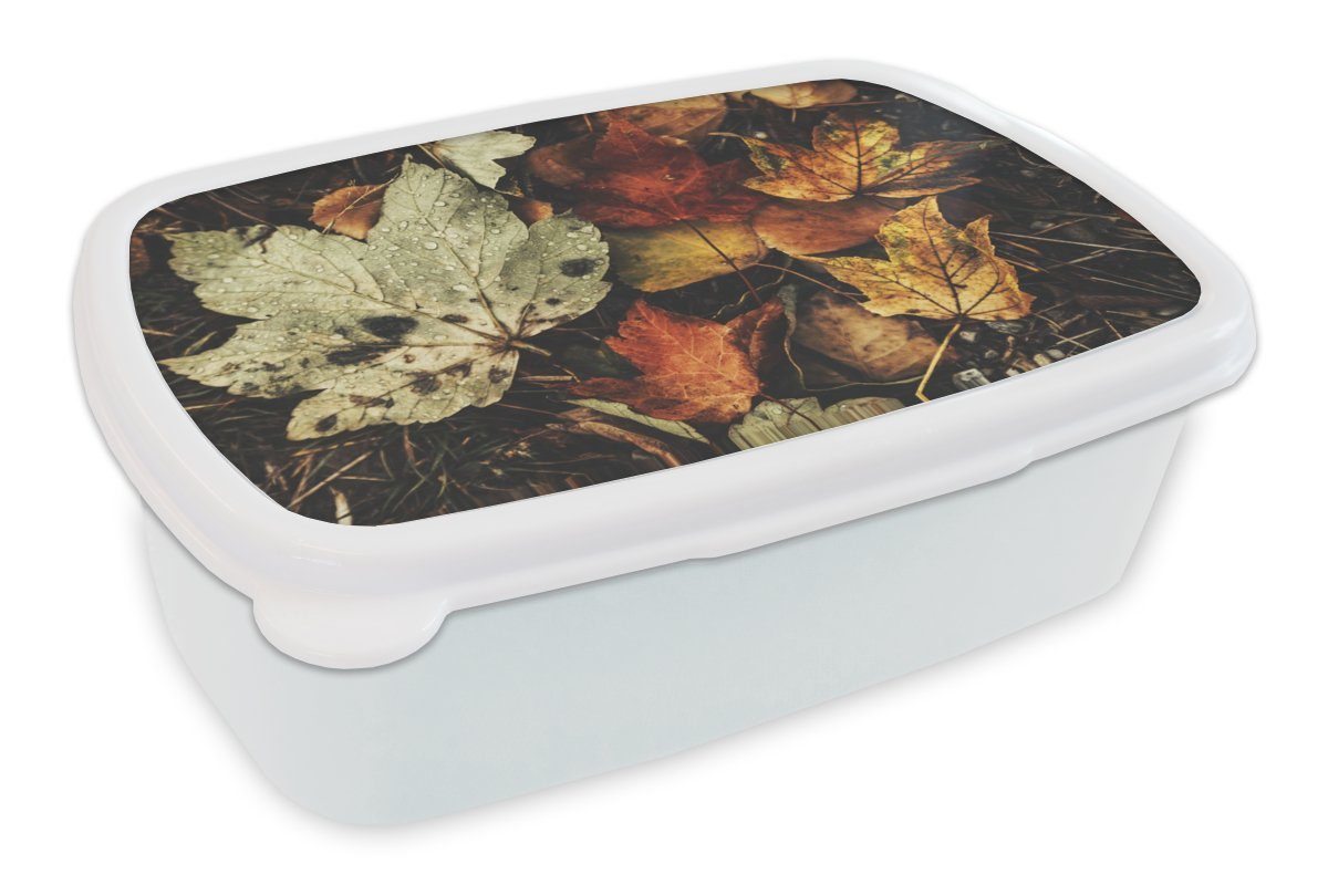 MuchoWow Lunchbox Herbstblätter - Herbst - Jahreszeiten - Natur, Kunststoff, (2-tlg), Brotbox für Kinder und Erwachsene, Brotdose, für Jungs und Mädchen weiß