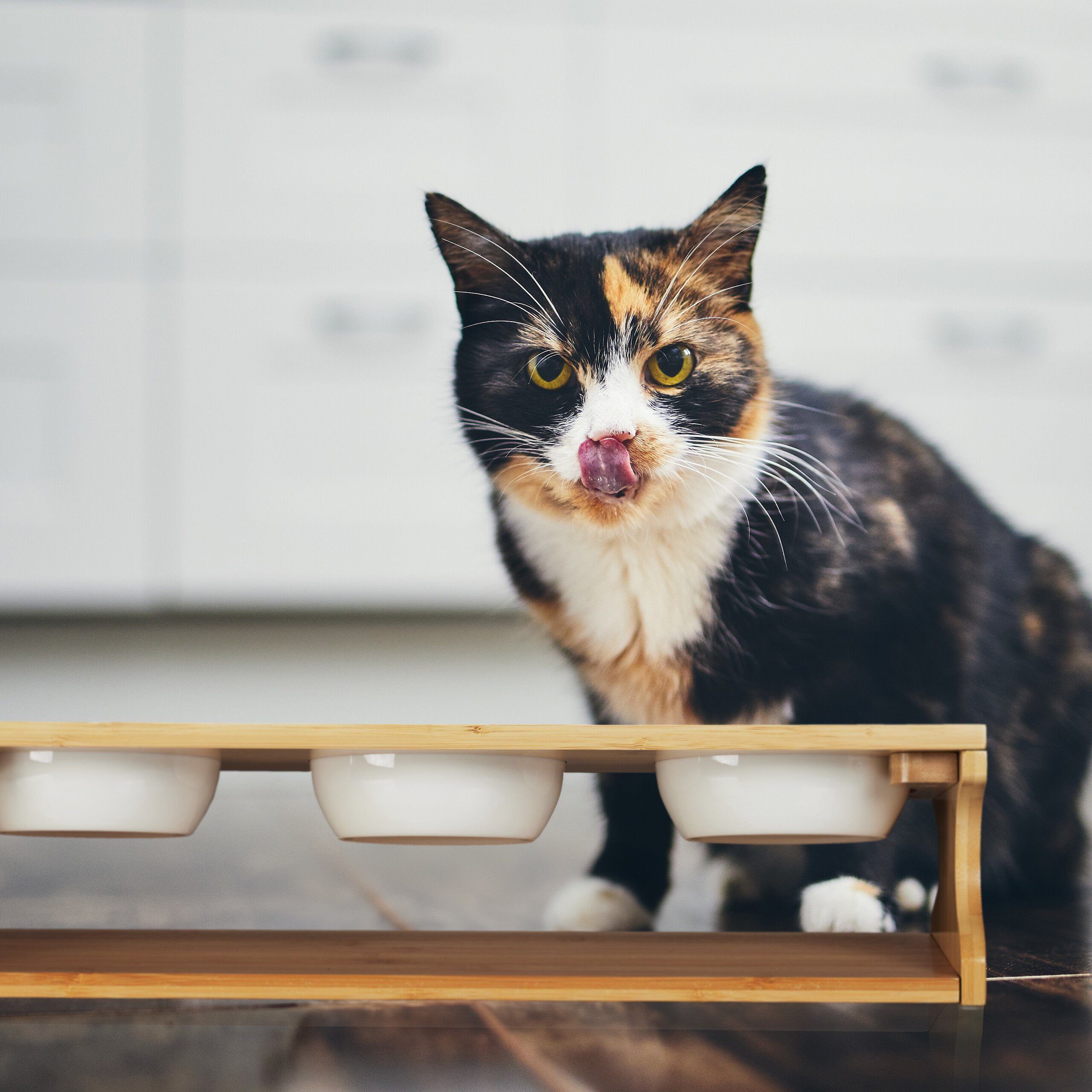 relaxdays Futterstation Katzen Futterstation mit 3 Näpfen