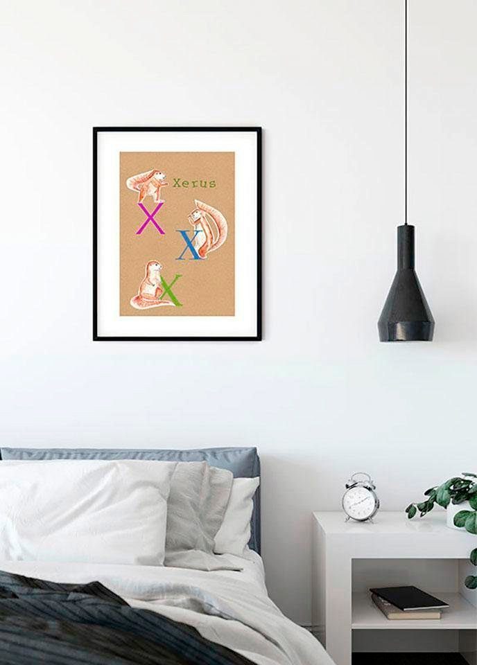 (1 Wohnzimmer Schlafzimmer, Animal St), Buchstaben ABC Kinderzimmer, X, Poster Komar