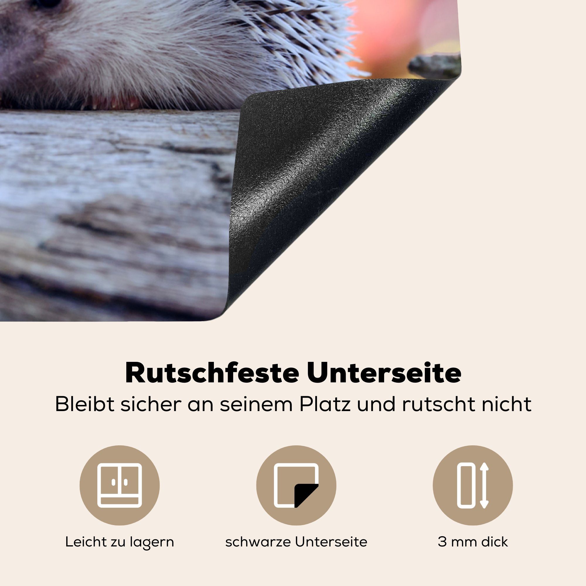 cm, küche tlg), Igel sitzen auf Zwei einem MuchoWow 83x51 Vinyl, Ast, Herdblende-/Abdeckplatte Ceranfeldabdeckung, Arbeitsplatte für (1