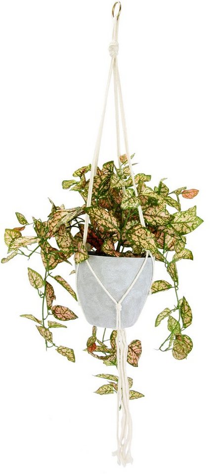 Kunstpflanze Künstliche Fittonia Hängeampel mit Topf Kunstpflanze, I.GE.A.,  Höhe 80 cm, Topfpflanze Kunstblume
