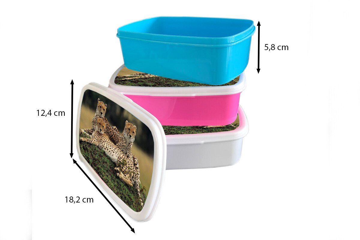 MuchoWow Lunchbox rosa Kunststoff Brotbox der Savanne, für Mädchen, Kinder, Geparden in Erwachsene, (2-tlg), Drei Snackbox, Brotdose Kunststoff