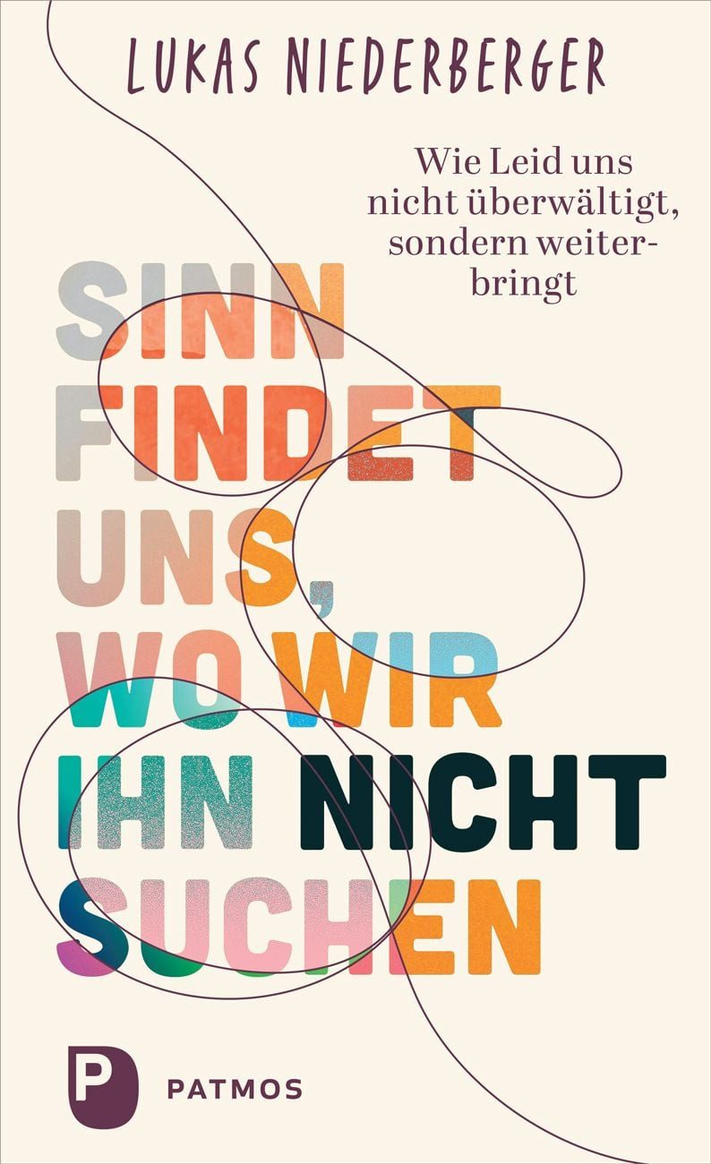 Sachbuch Sinn findet uns, wo wir ihn nicht suchen Wie Leid uns nicht überwältig Lukas Niederberger