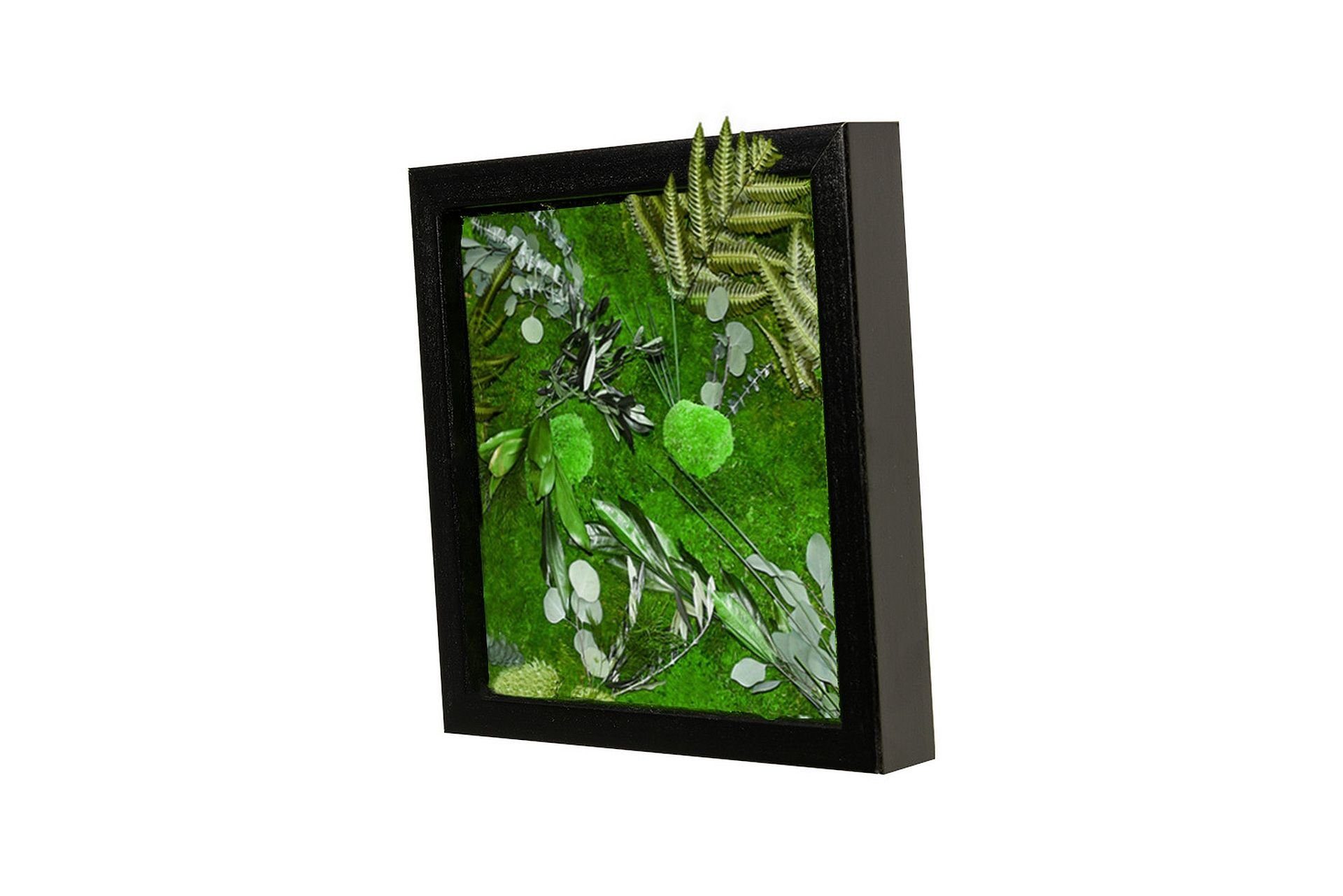 Moos-Design Bilderrahmen Moos Bild Dschungel Design 100% Dschungelmoos