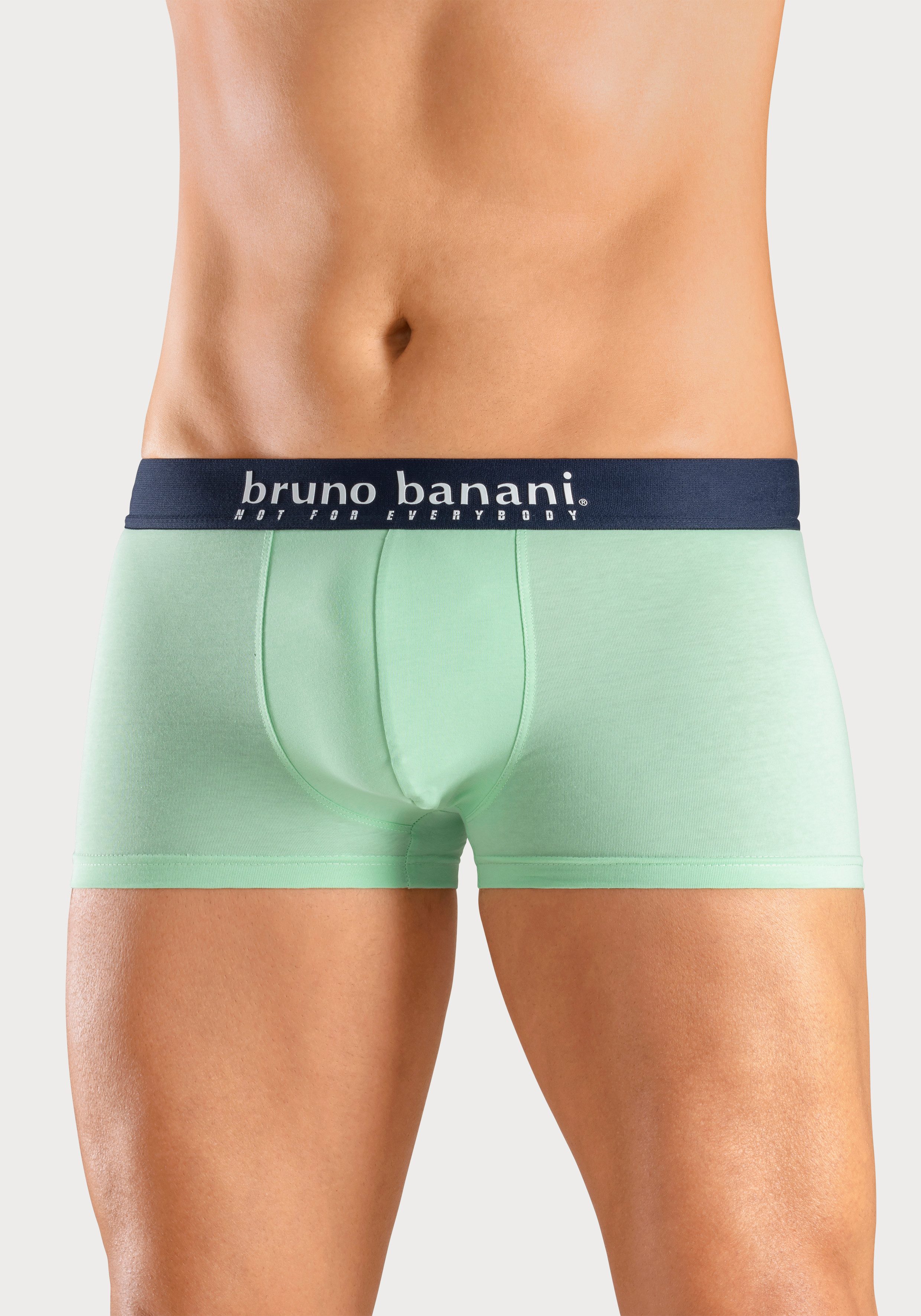 Bruno Banani Boxer Boxershorts für Herren (Packung, 4-St., 4er-Pack) mit Palmendruck und unifarben aus Baumwollmischung – Bild 5 von 5