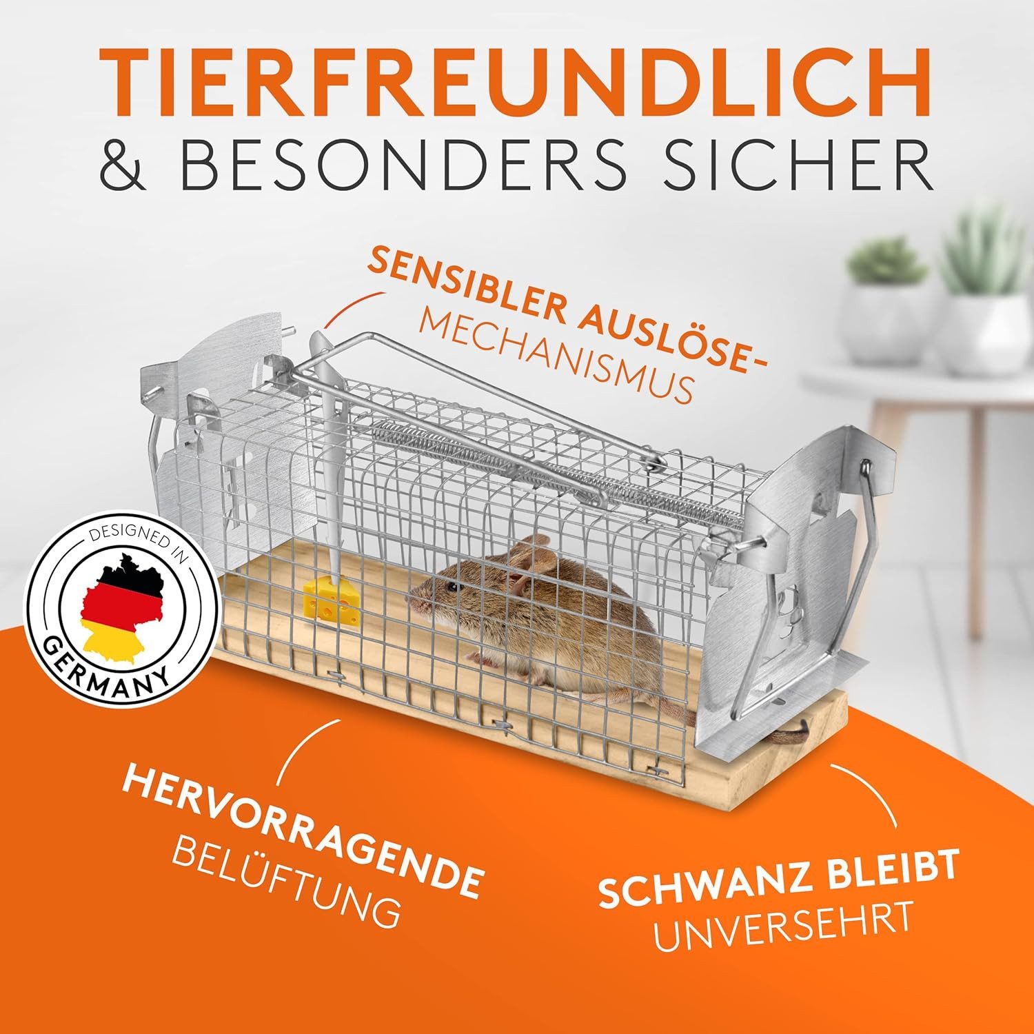 Werktal Lebendfalle für Mäuse [4er-Set] - Hochsensitiv und tierfreundliche Lebendfalle, einfache Köderfixierung, hygienisch und wiederverwendbar