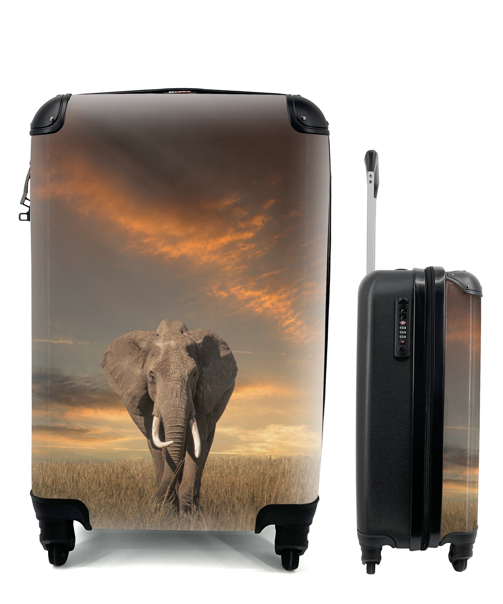 MuchoWow Handgepäckkoffer Elefant - Tiere - Gras - Natur, 4 Rollen, Reisetasche mit rollen, Handgepäck für Ferien, Trolley, Reisekoffer