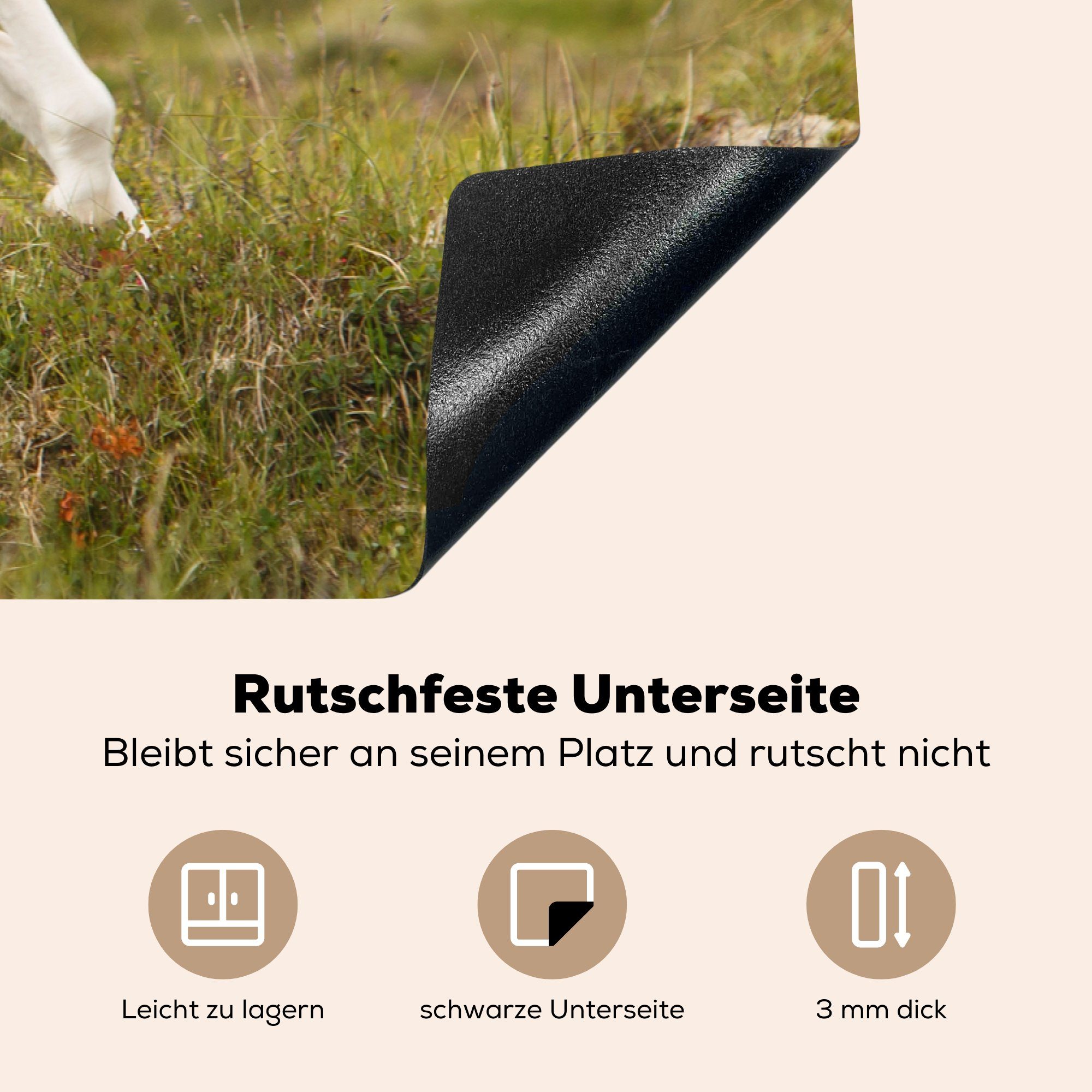 Induktionskochfeld Fohlen Herdblende-/Abdeckplatte Ceranfeldabdeckung 81x52 tlg), Natur, für - (1 - Vinyl, Gras cm, Schutz MuchoWow die küche,