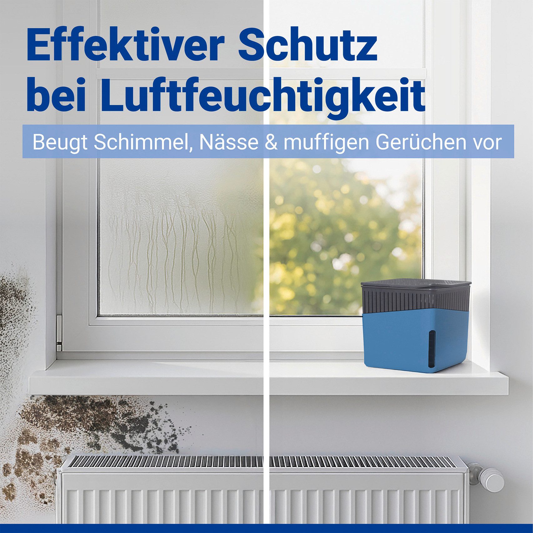 WENKO Luftentfeuchter Cube, für 80 m³ Räume, 1000 g günstig online kaufen