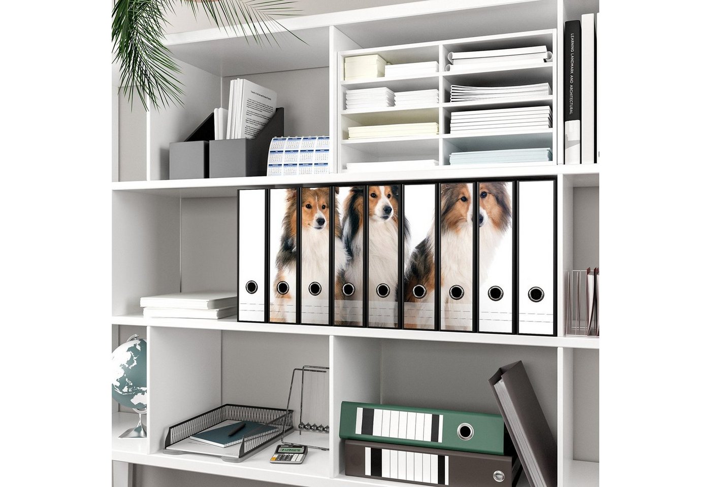 Thumbnail - Wallario Etiketten Süße Shetland Hunde vor weißem Hintergrund, Ordnerrücken-Sticker in verschiedenen Ausführungen