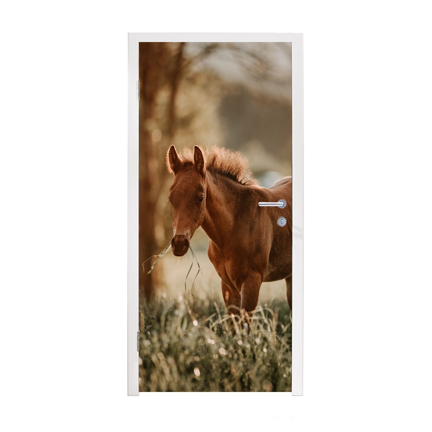 MuchoWow Türtapete Pferd - Licht - Wiese, Matt, bedruckt, (1 St), Fototapete für Tür, Türaufkleber, 75x205 cm
