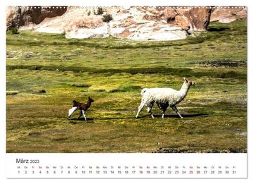 CALVENDO Wandkalender Lamas und Alpakas - Die weichen Neuweltkamele. (Premium, hochwertiger DIN A2 Wandkalender 2023, Kunstdruck in Hochglanz)