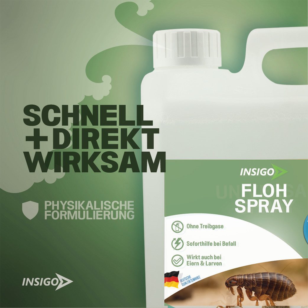 INSIGO Insektenspray Anti Floh-Spray Floh-Mittel Ungezieferspray, 2 l, biozidfreie Formel, auf Wasserbasis, geruchsarm, brennt / ätzt nicht