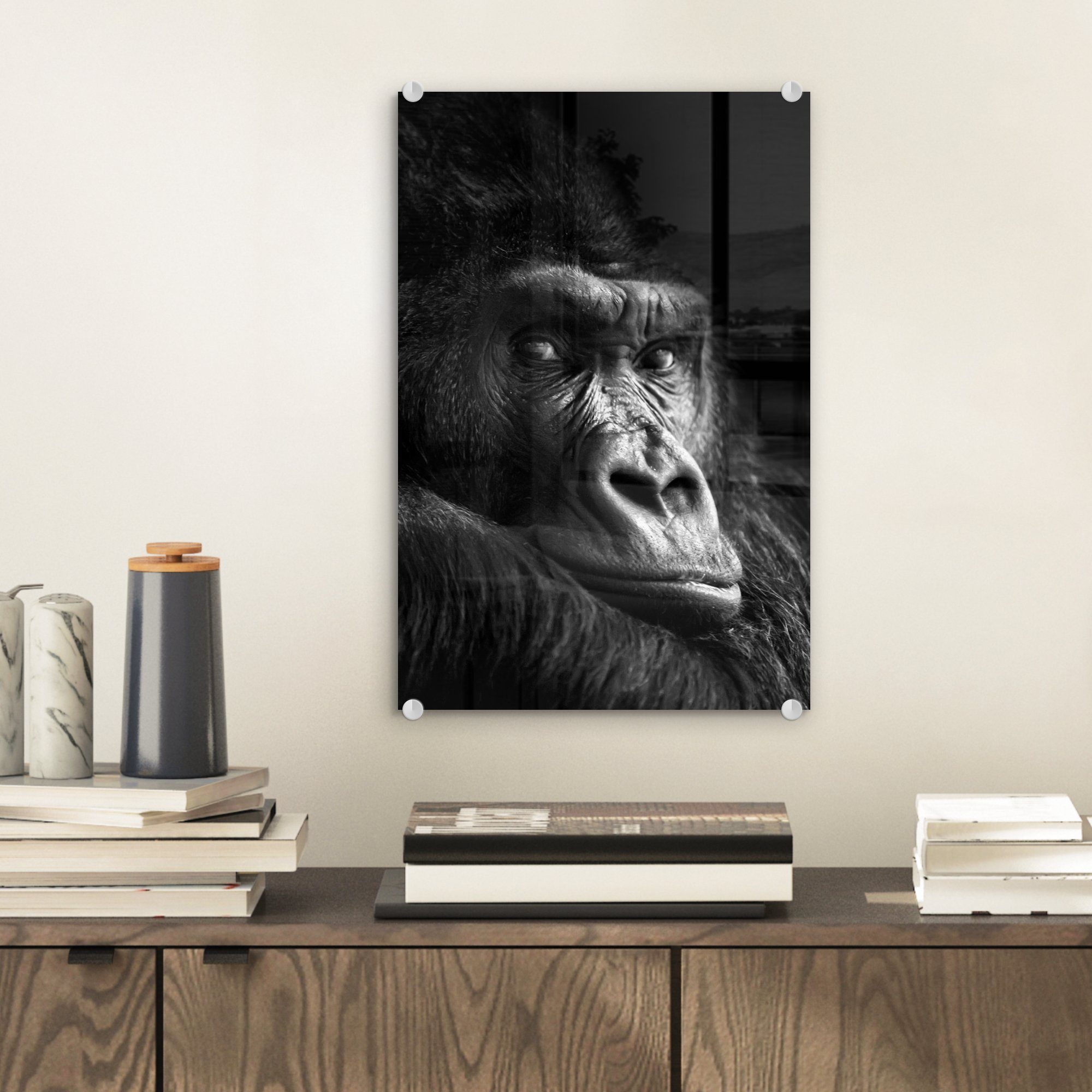 MuchoWow Acrylglasbild Gorilla - Affe - günstig online kaufen