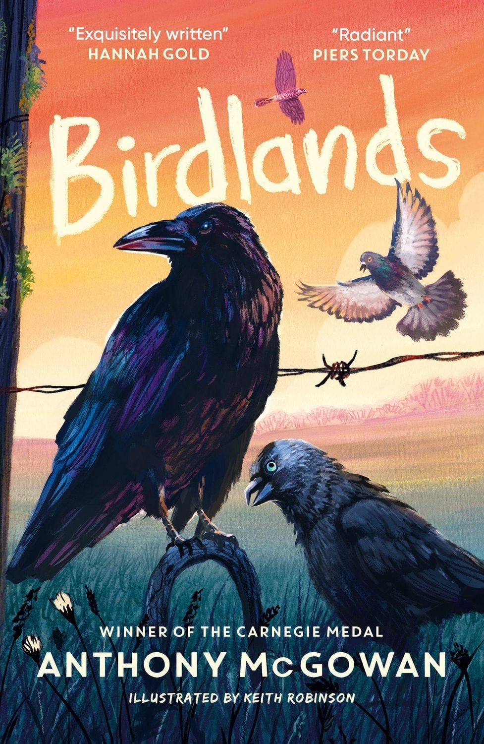 Birdlands / Anthony Mcgowan