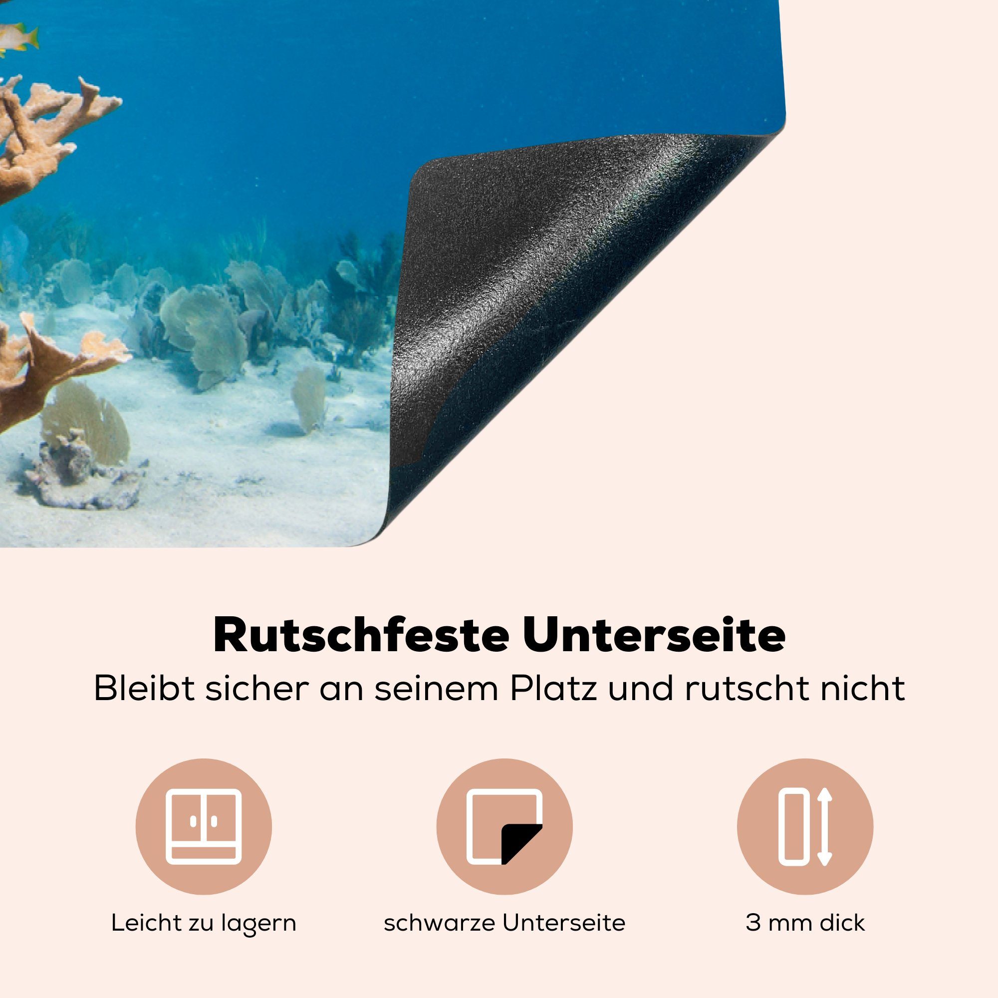 MuchoWow Herdblende-/Abdeckplatte Korallen in 83x51 Wasser, (1 cm, tlg), Arbeitsplatte Ceranfeldabdeckung, Vinyl, klarem küche für
