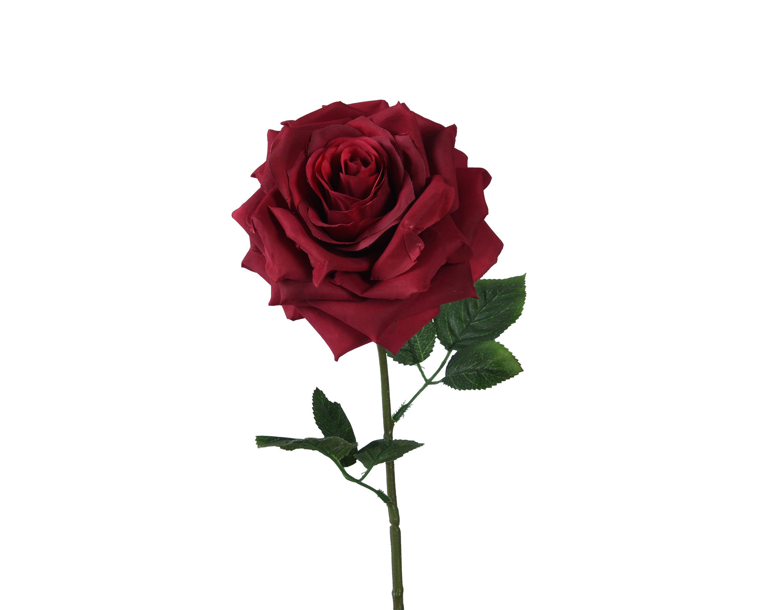 Kunstblume, Kaemingk, Künstliche Rose mit Stiel 15x53cm Bordeaux günstig online kaufen