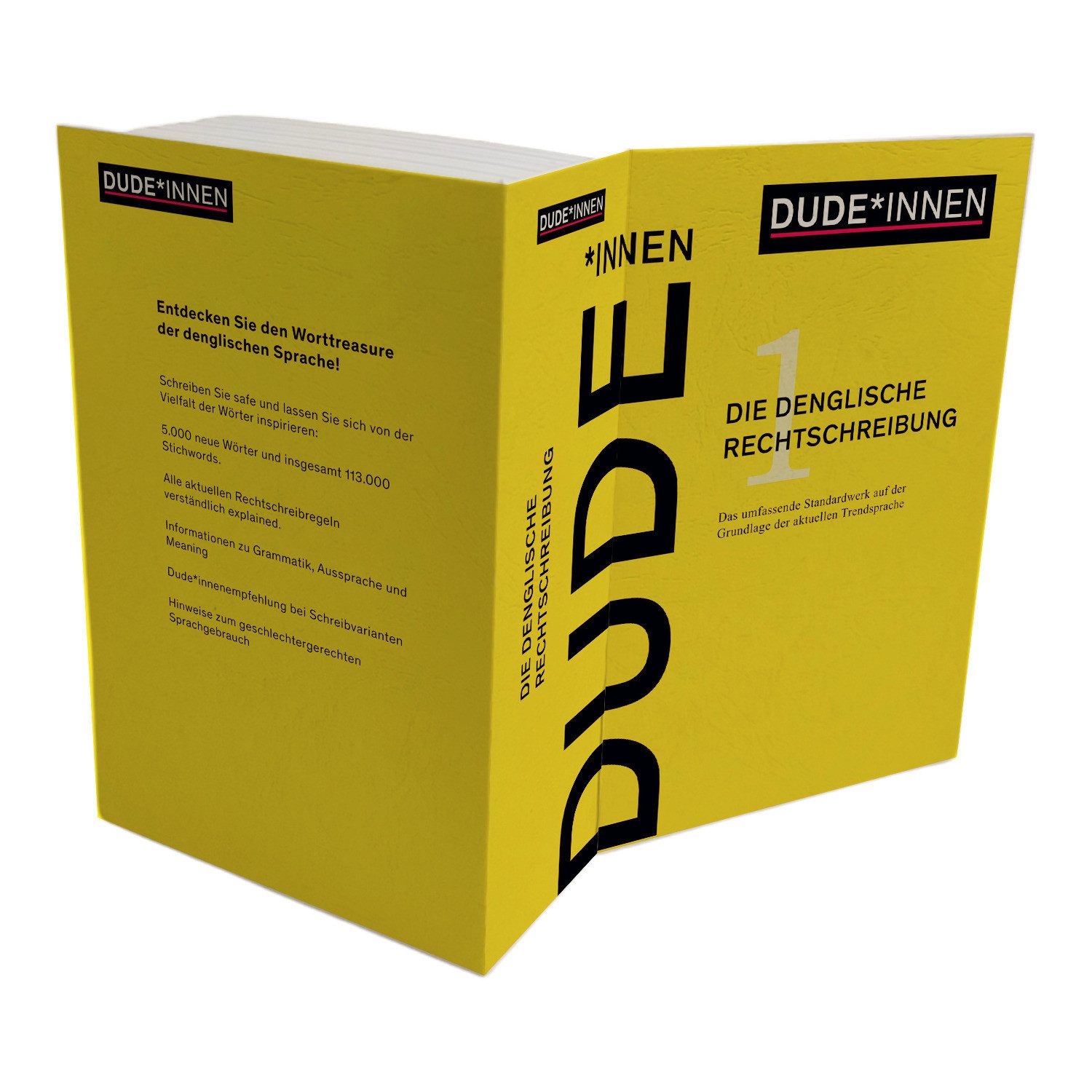 speecheese Buchtresor Dude*Innen Booksafe : Verständlich Rechtschreibung studieren