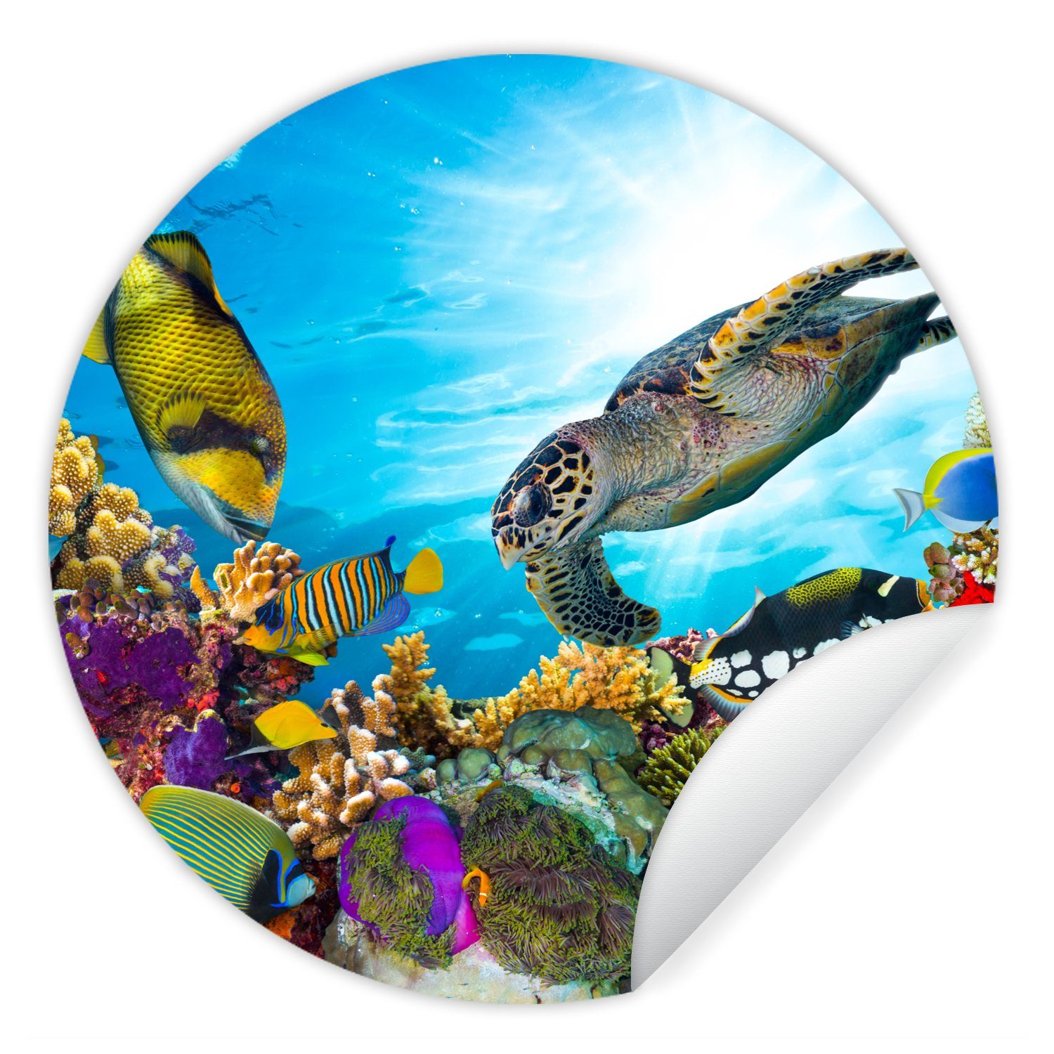 MuchoWow Wandsticker Schildkröte - Meer - Koralle (1 St), Tapetenkreis für Kinderzimmer, Tapetenaufkleber, Rund, Wohnzimmer