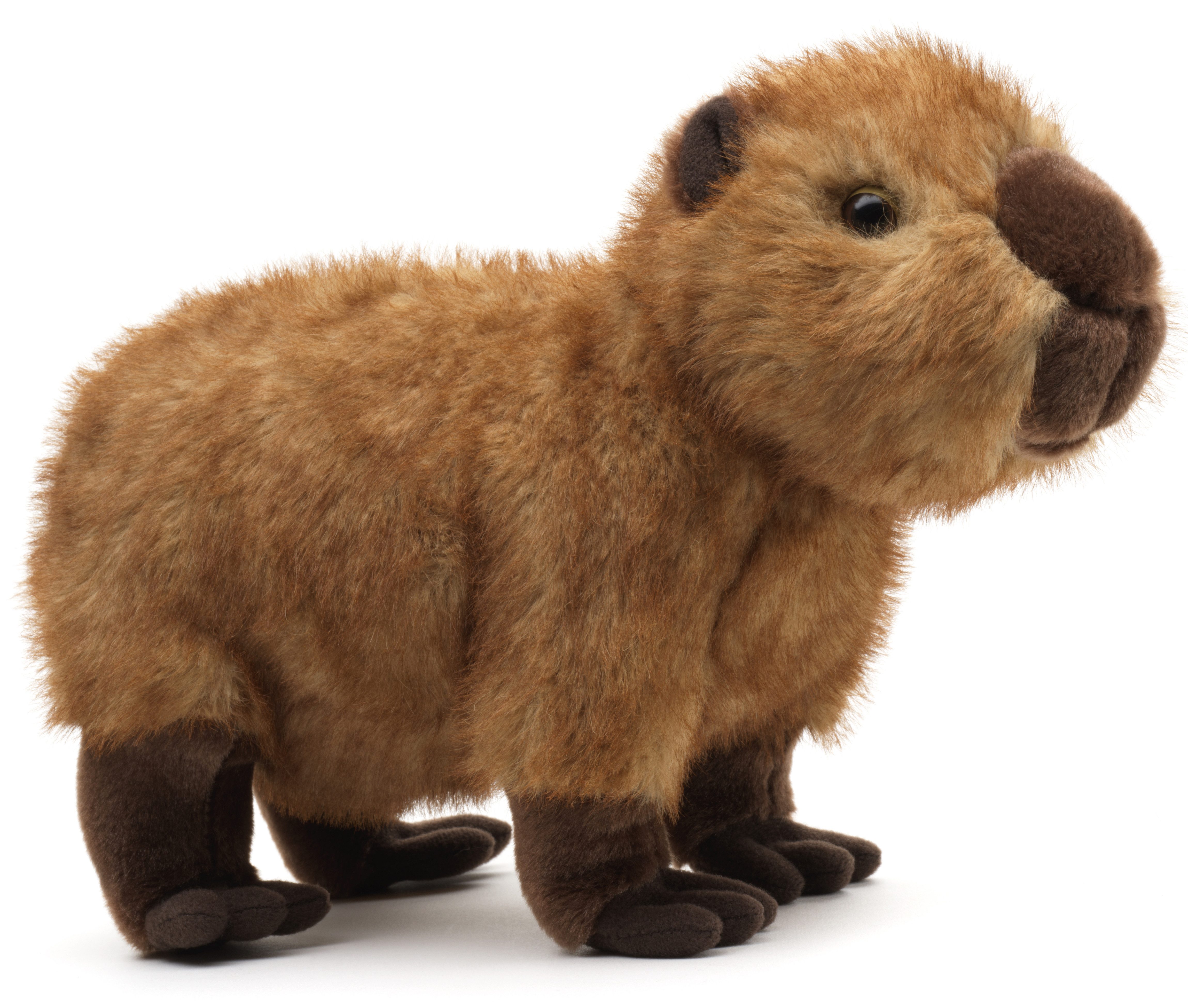 Uni-Toys Kuscheltier Capybara - 27 cm (Länge) - Wasserschwein - Plüschtier, günstig online kaufen