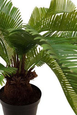Kunstpflanze Palmfarn Cycas Kunstpflanze 59 cm, fleur ami, Höhe 59 cm