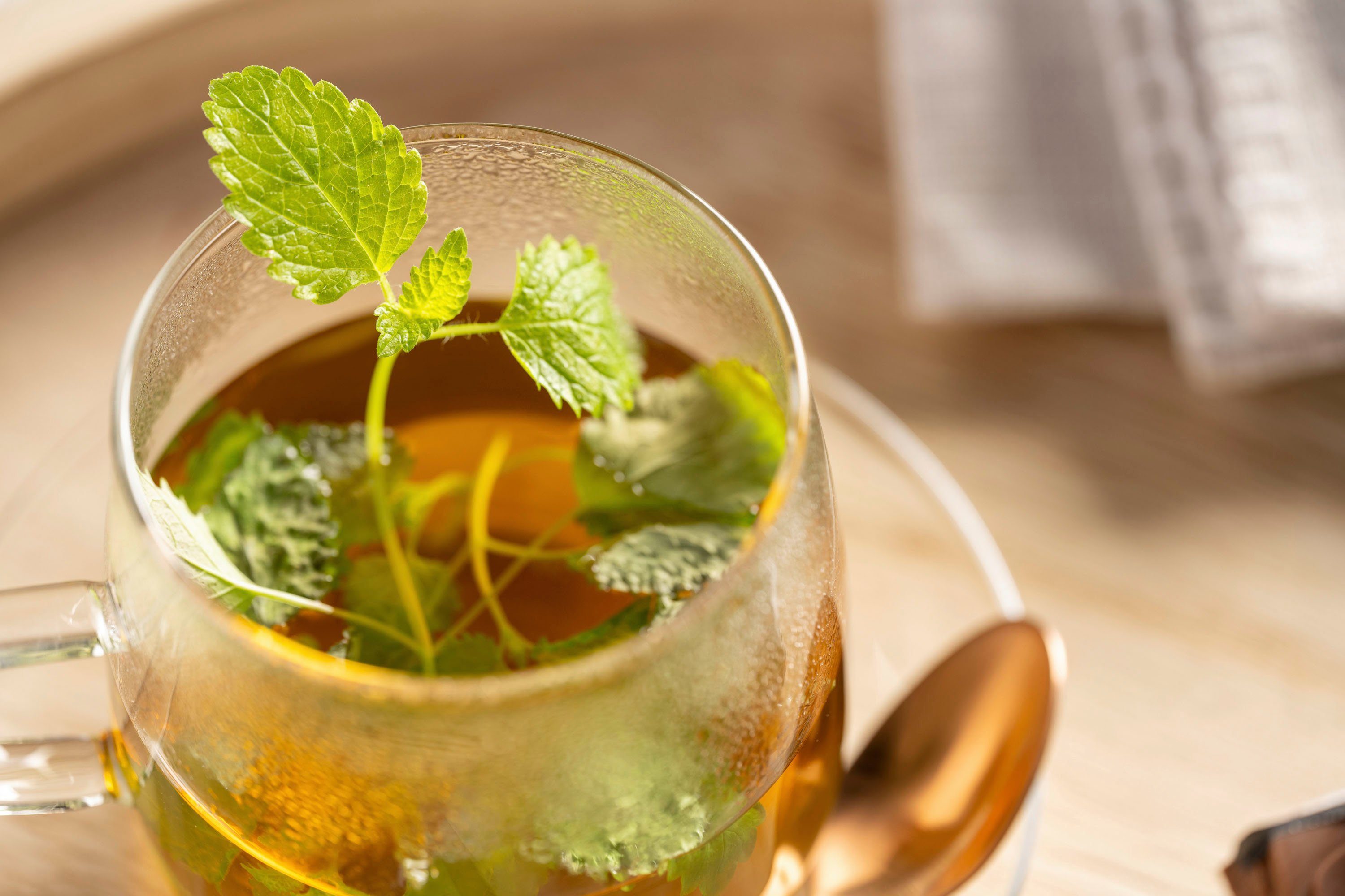 LEONARDO Teeglas TÈ PER TE, 4-tlg., Glas, 4-teilig