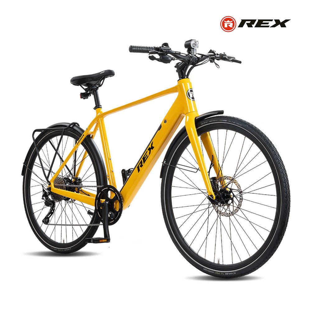 REX E-Bike Trekkingrad Rex Carbon Elektrofahrrad 28 Zoll mit 360Wh Akku, Reichweite 120km, 10 Gang SHIMANO, Heckmotor, 360 Wh, Carbon Fahrrad, leichter Carbonrahmen, für Damen u. Herren