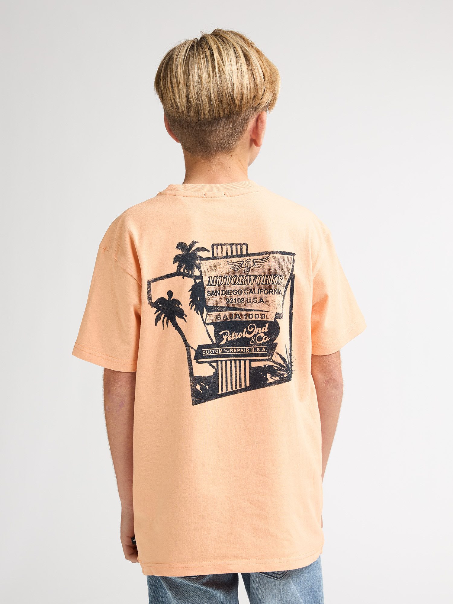 Petrol Industries T-Shirt Mezcal mit Rückenprint