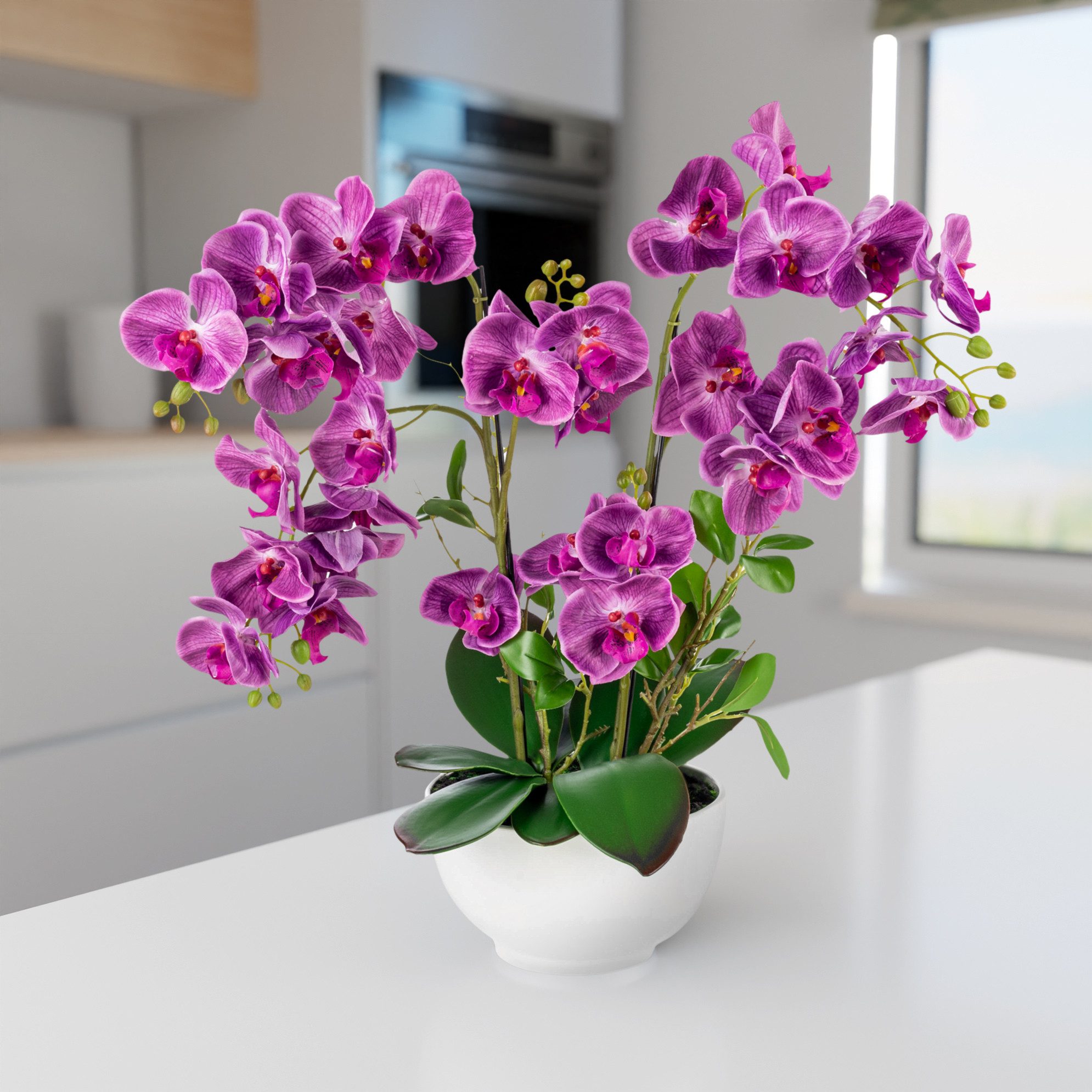 Kunstorchidee PASCH® XXL Orchidee künstlich wie echt (56cm) in Hochglanz-Keramiktopf Orchidee, PASCH