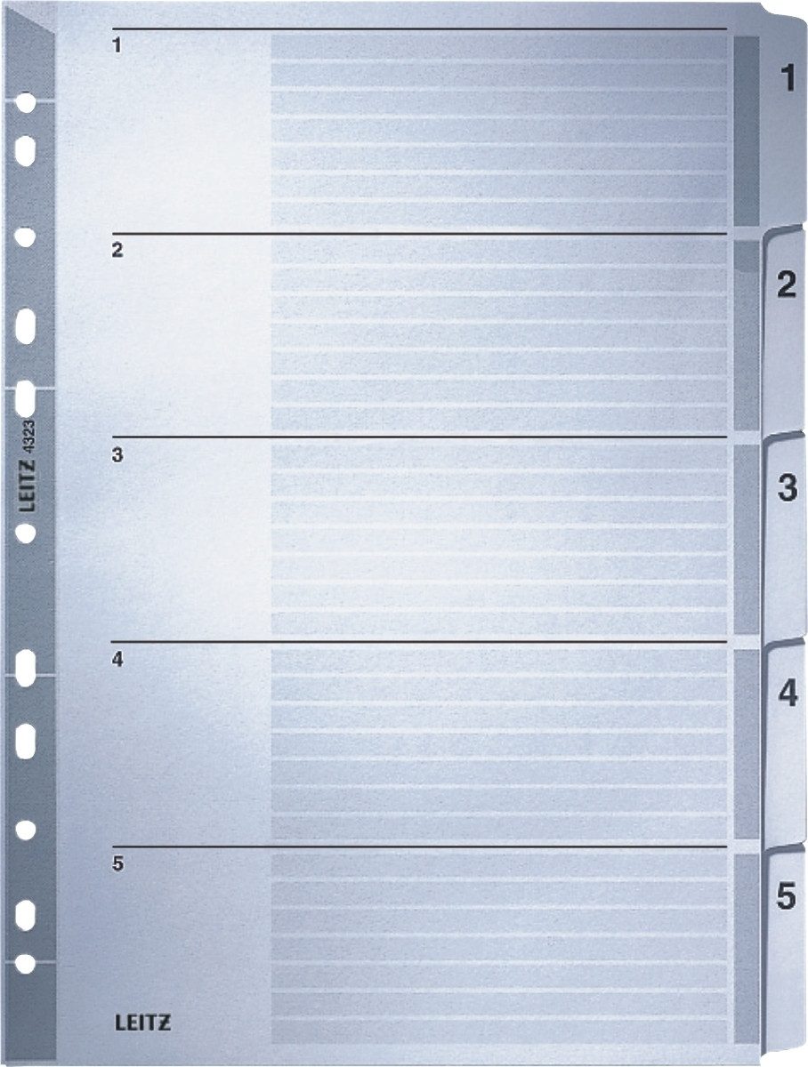 LEITZ Aktenordner Register A4 1-5 160g/qm Karton grau