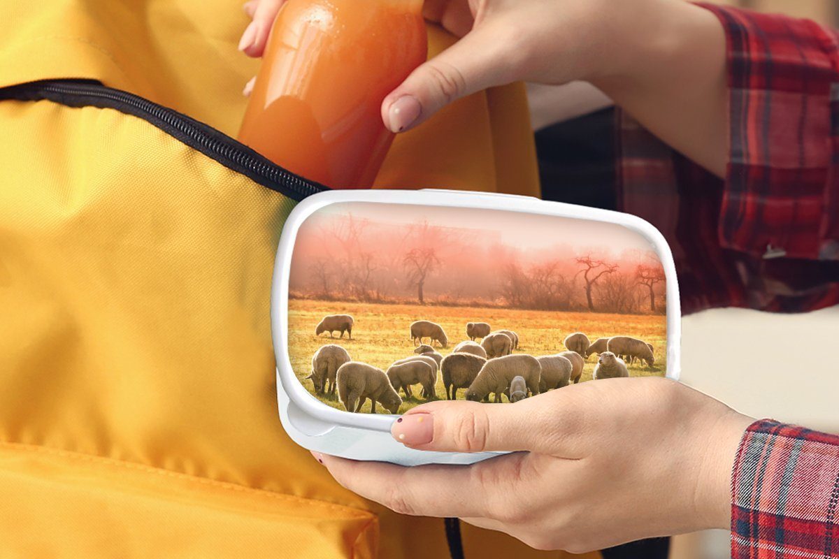 Brotdose, Schafe und Gras, Brotbox (2-tlg), weiß für für MuchoWow - Tiere und Lunchbox Kunststoff, Mädchen Jungs Kinder Erwachsene, -
