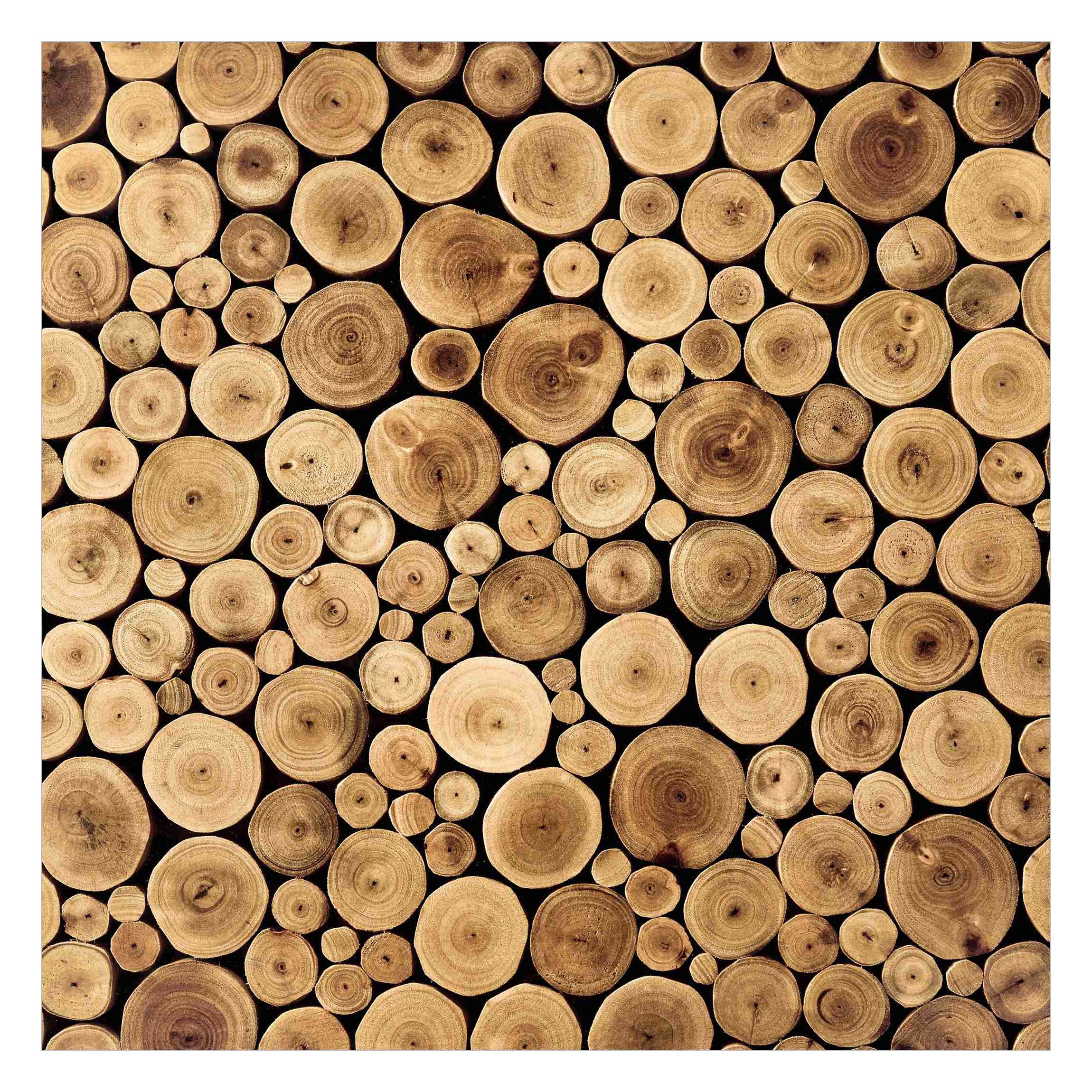 Bilderdepot24 Vliestapete Holzoptik Homey Firewood Bäume günstig online kaufen