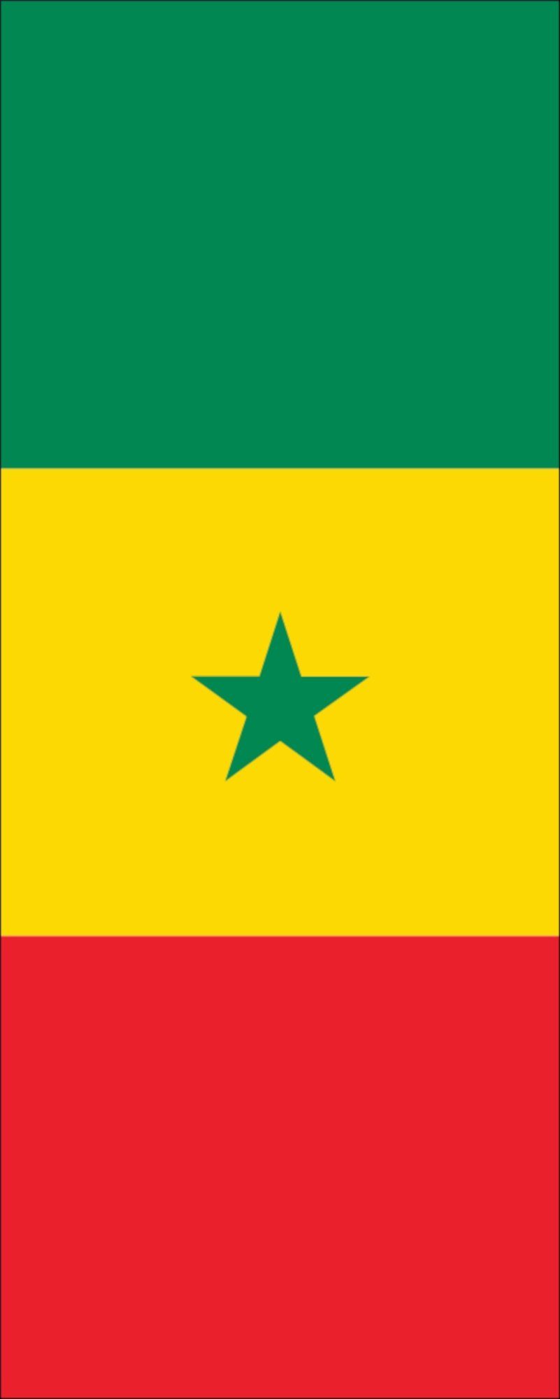110 g/m² Flagge Flagge flaggenmeer Senegal Hochformat