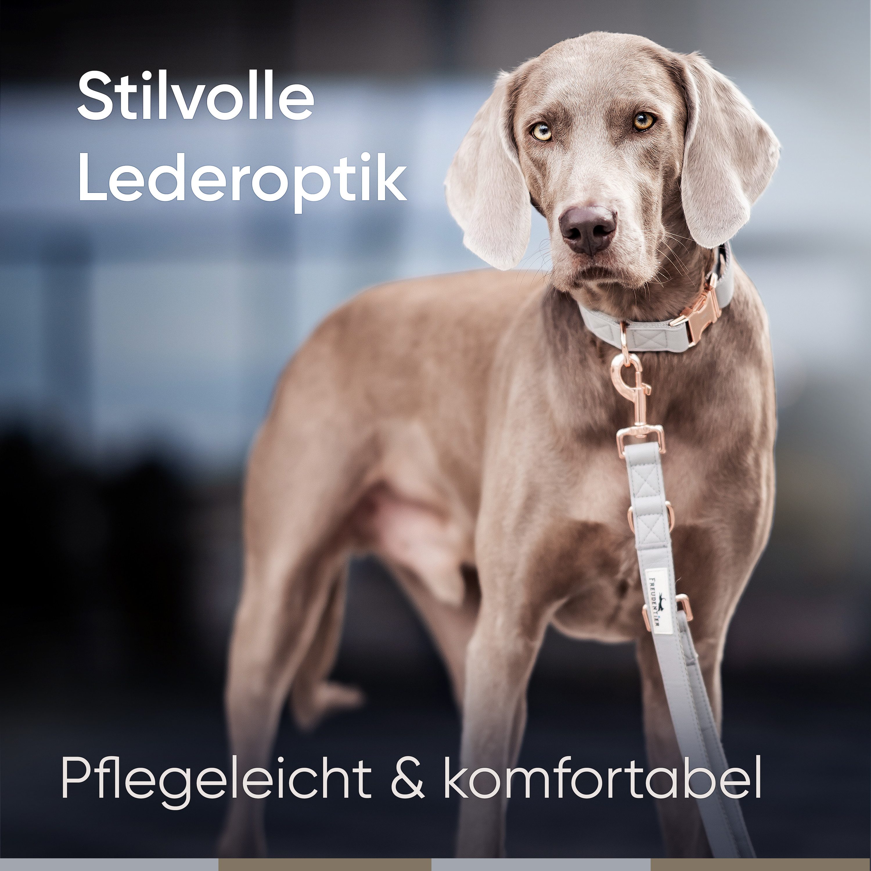 Thumbnail - Freudentier Hunde-Halsband aus veganem Leder, Hyde Park Kollektion 2.0