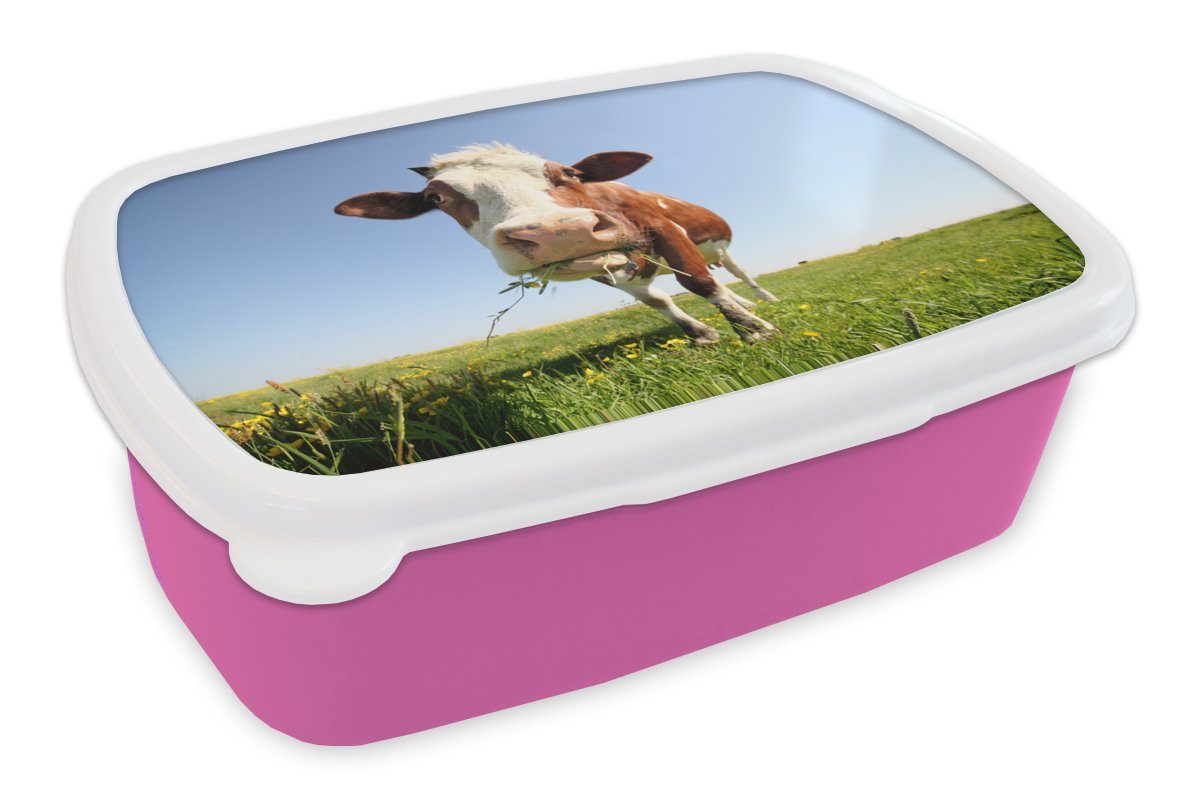 MuchoWow Lunchbox Kuh - Tiere - Blumen - Gras, Kunststoff, (2-tlg), Brotbox für Erwachsene, Brotdose Kinder, Snackbox, Mädchen, Kunststoff rosa | Lunchboxen