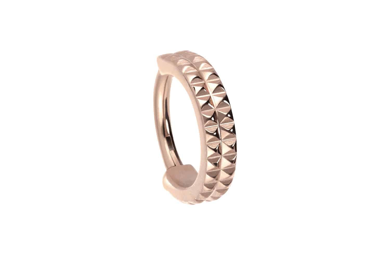 Nasenpiercing Titan Segmentring Clicker NIETEN
