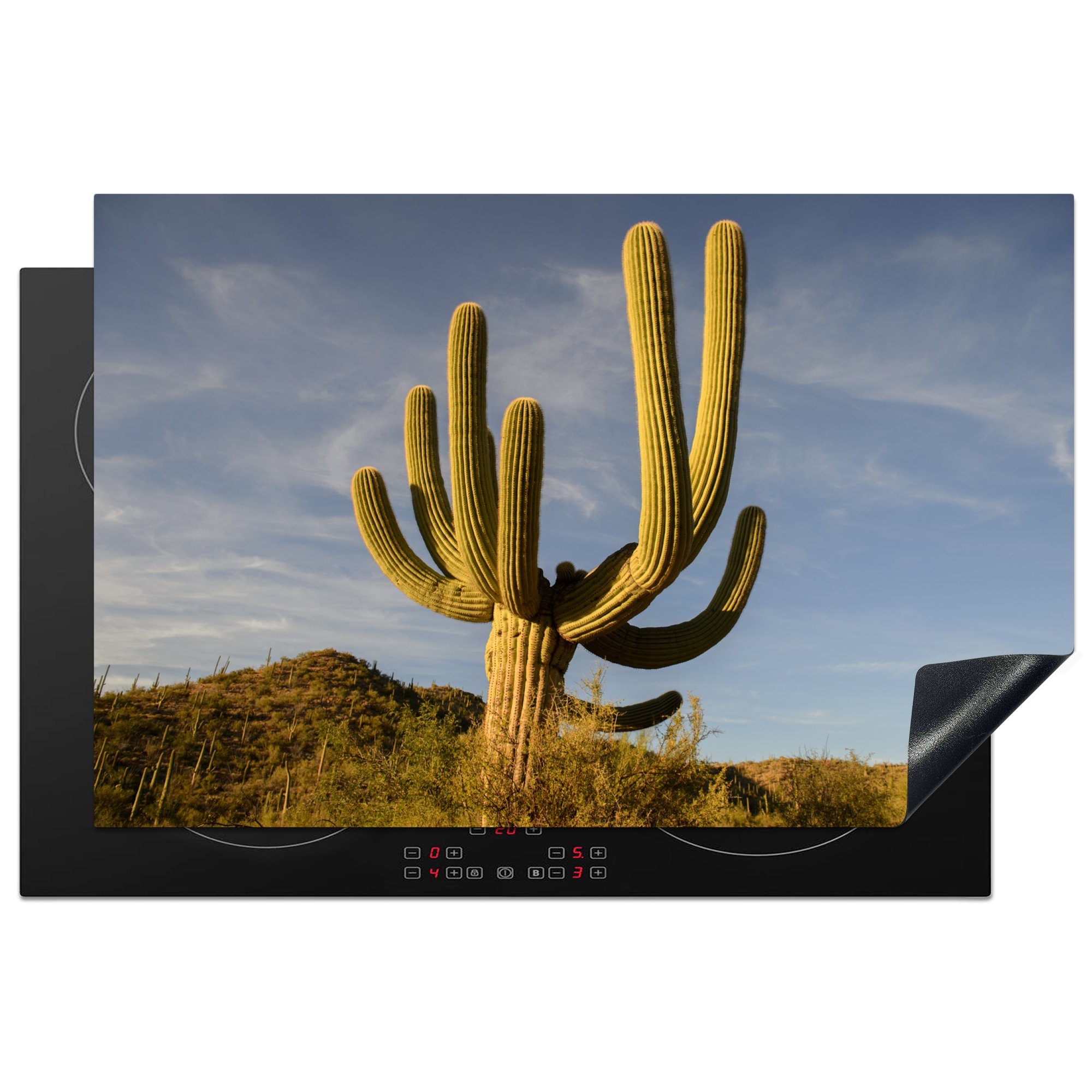 MuchoWow Ceranfeldabdeckung (1 Vinyl, für Herdblende-/Abdeckplatte Schutz Saguaro-Kaktus 81x52 cm, die Arizona, in küche, tlg), Induktionskochfeld