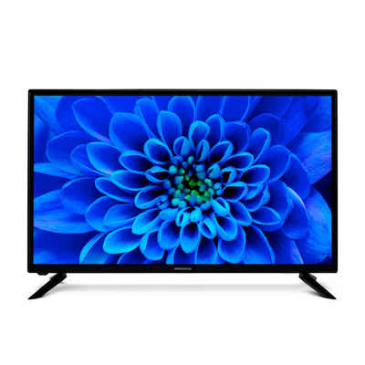 Medion® E13226 LCD-LED Fernseher (80 cm/31.5 Zoll, 720p HD Ready, 60Hz, Triple Tuner Receiver, Sleeptimer, MD30326)