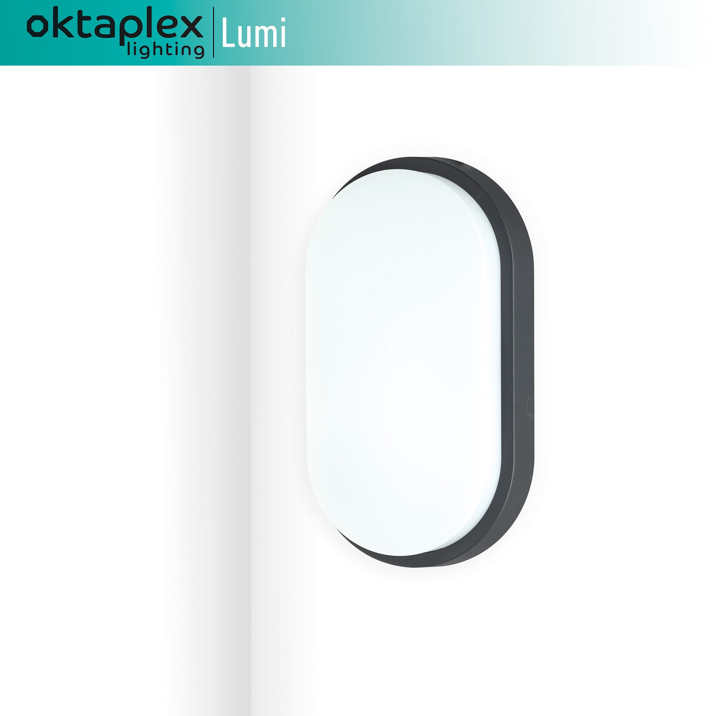 Oktaplex lighting LED Deckenleuchte Lumi LED Kellerlampe Oval IP54, Diffusor, LED fest verbaut, Warmweiß, Deckenleuchte 10W 800 Lumen Wandlampe anthrazit