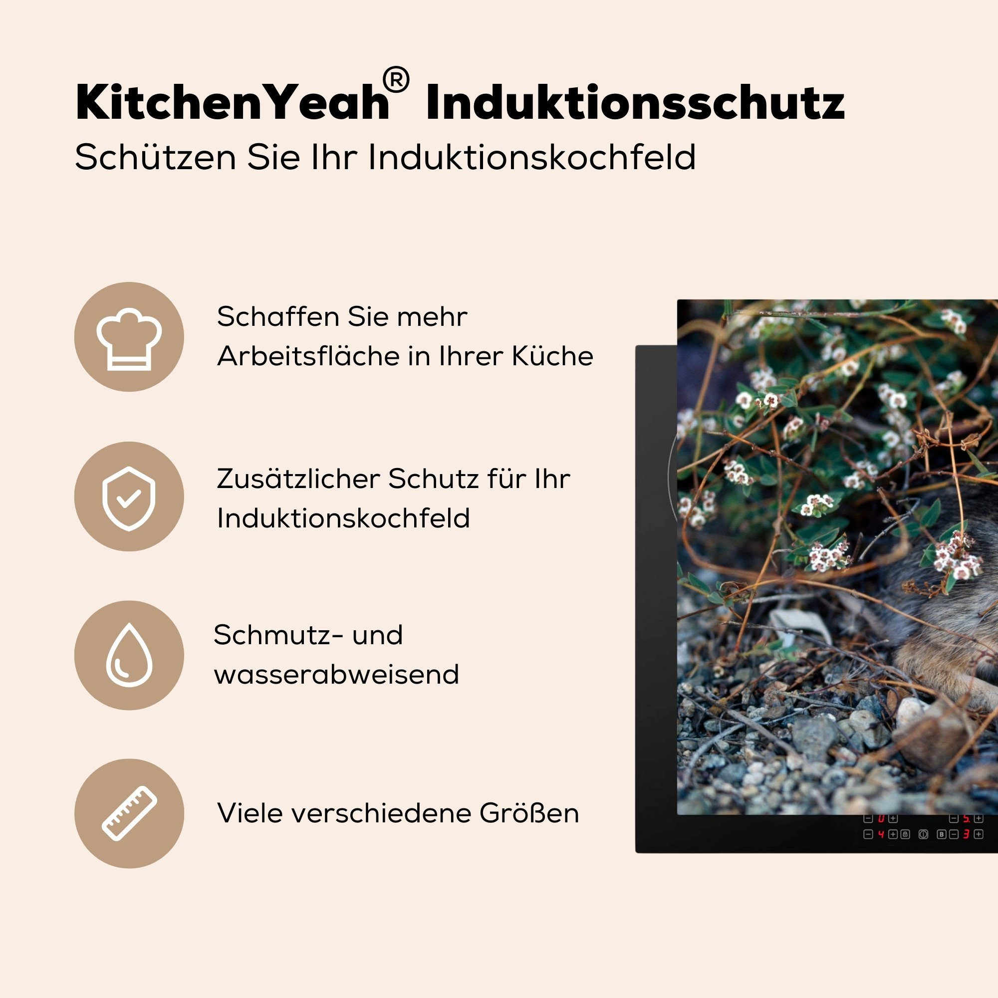 - Schutz - küche, Herdblende-/Abdeckplatte Rock (1 Baby-Kaninchen 81x52 MuchoWow die tlg), für Ceranfeldabdeckung cm, Vinyl, Induktionskochfeld Haustier,