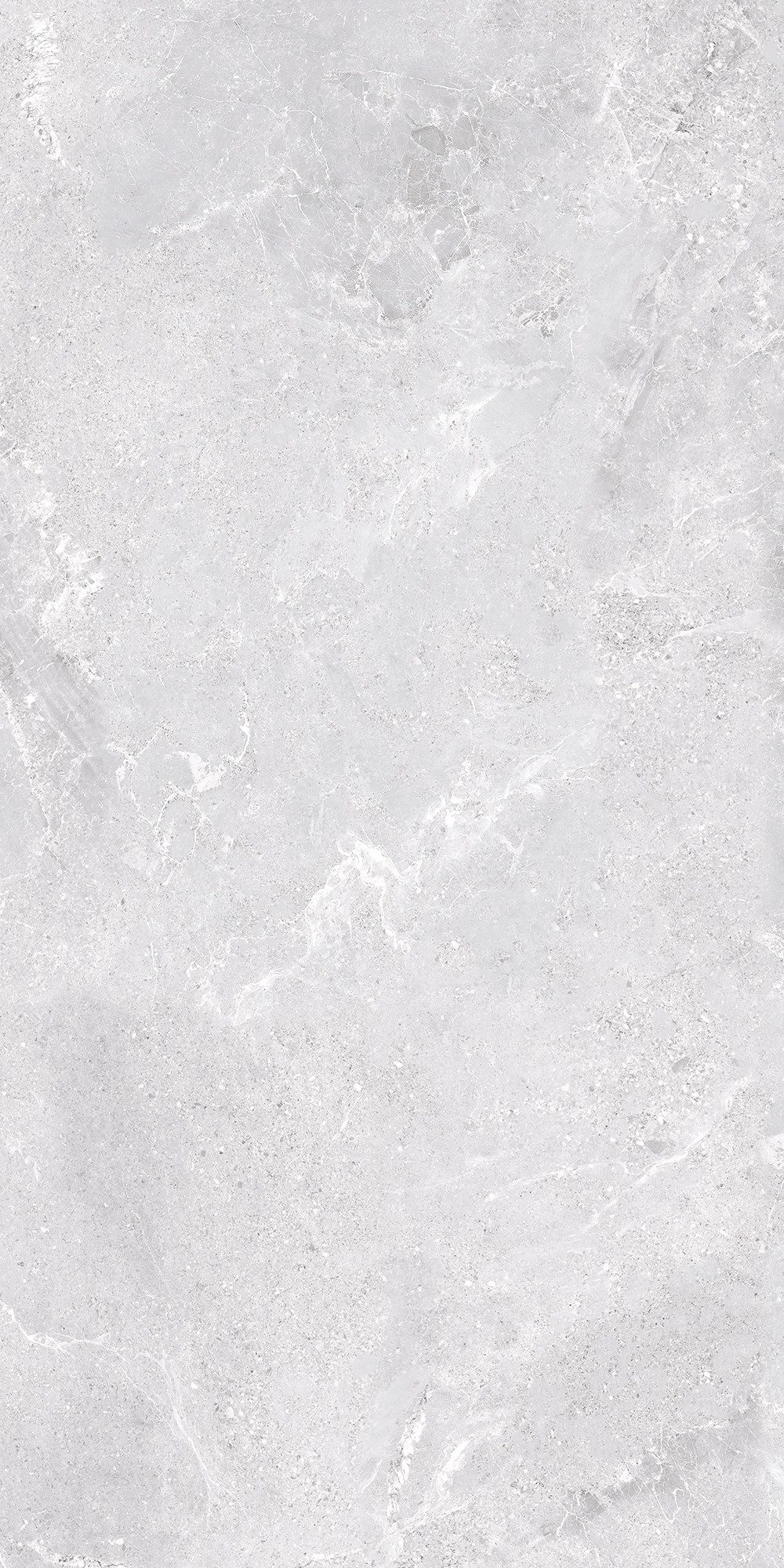 Bodenfliese 1 Paket (1,44 m) Fliesen TIVOLI GREY (60 × 120 cm), matt, grau, Bodengestaltung Badezimmer Bodenbelag Innen Im Haus Wohnideen