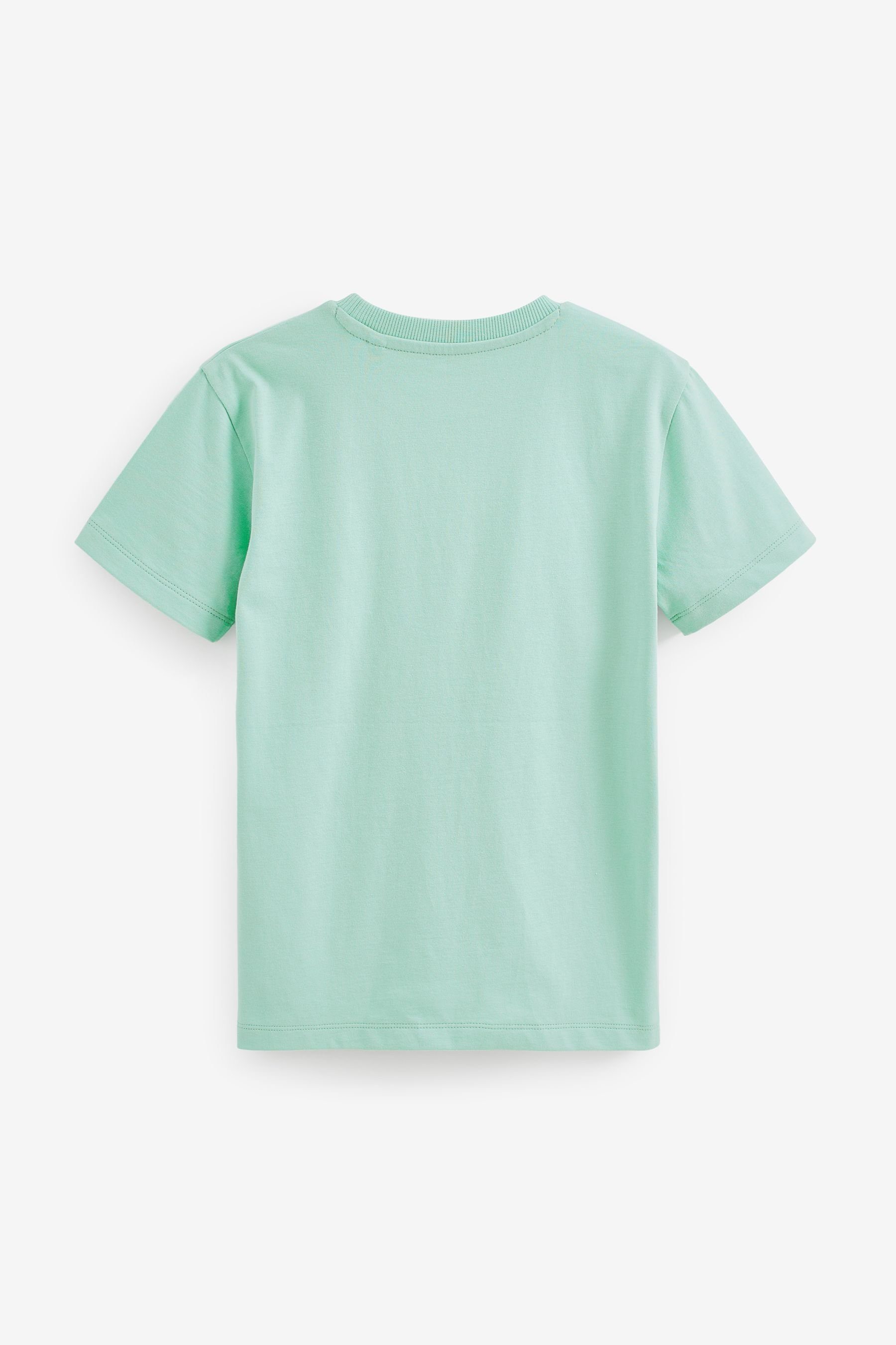 Next T-Shirt T-Shirt Green Mint (1-tlg)