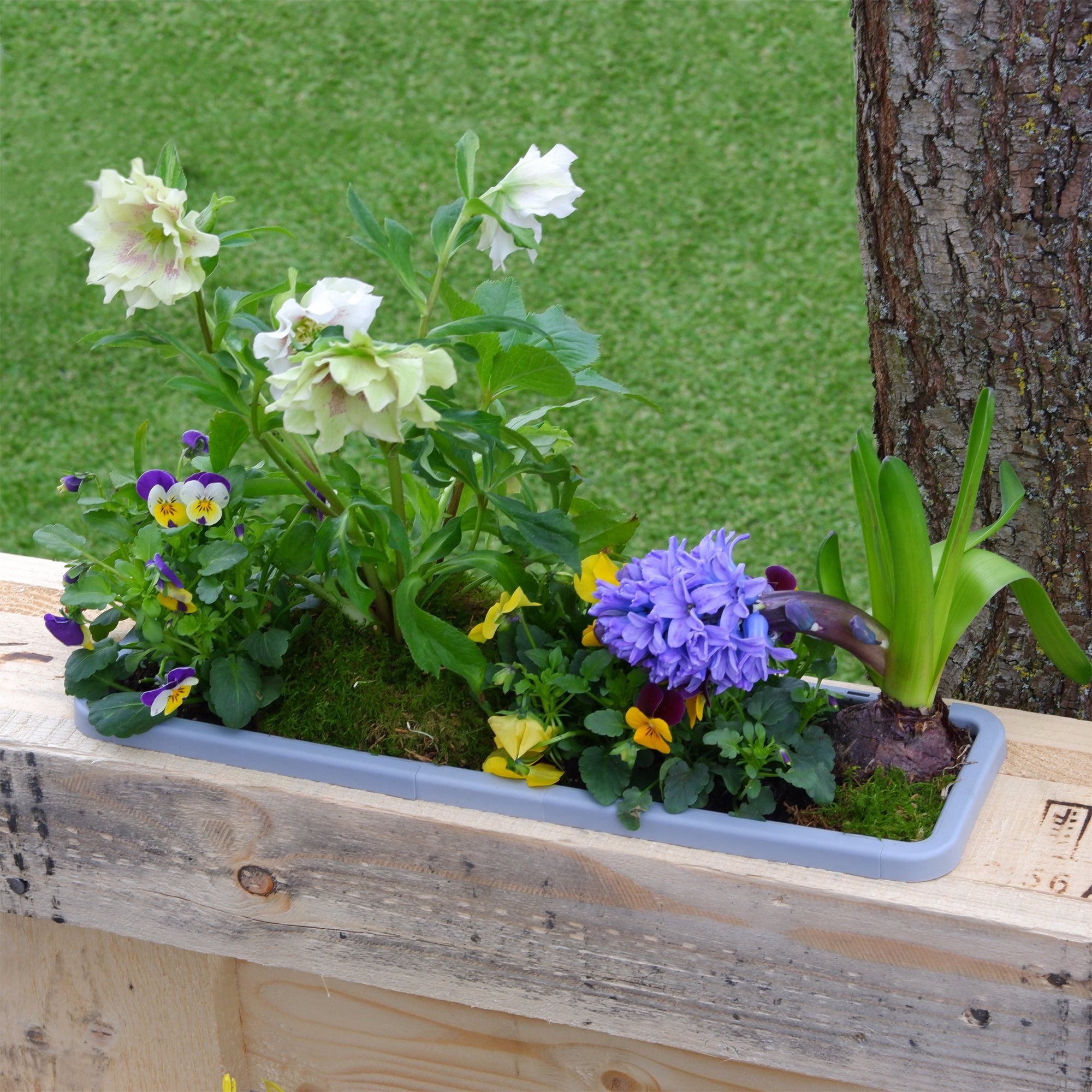 GREENLIFE® Blumenkasten 10 gelb, Kräuterbox Zwischenboden GreenLife integrierter Set), (10er Blumenkasten / Stück, komplett
