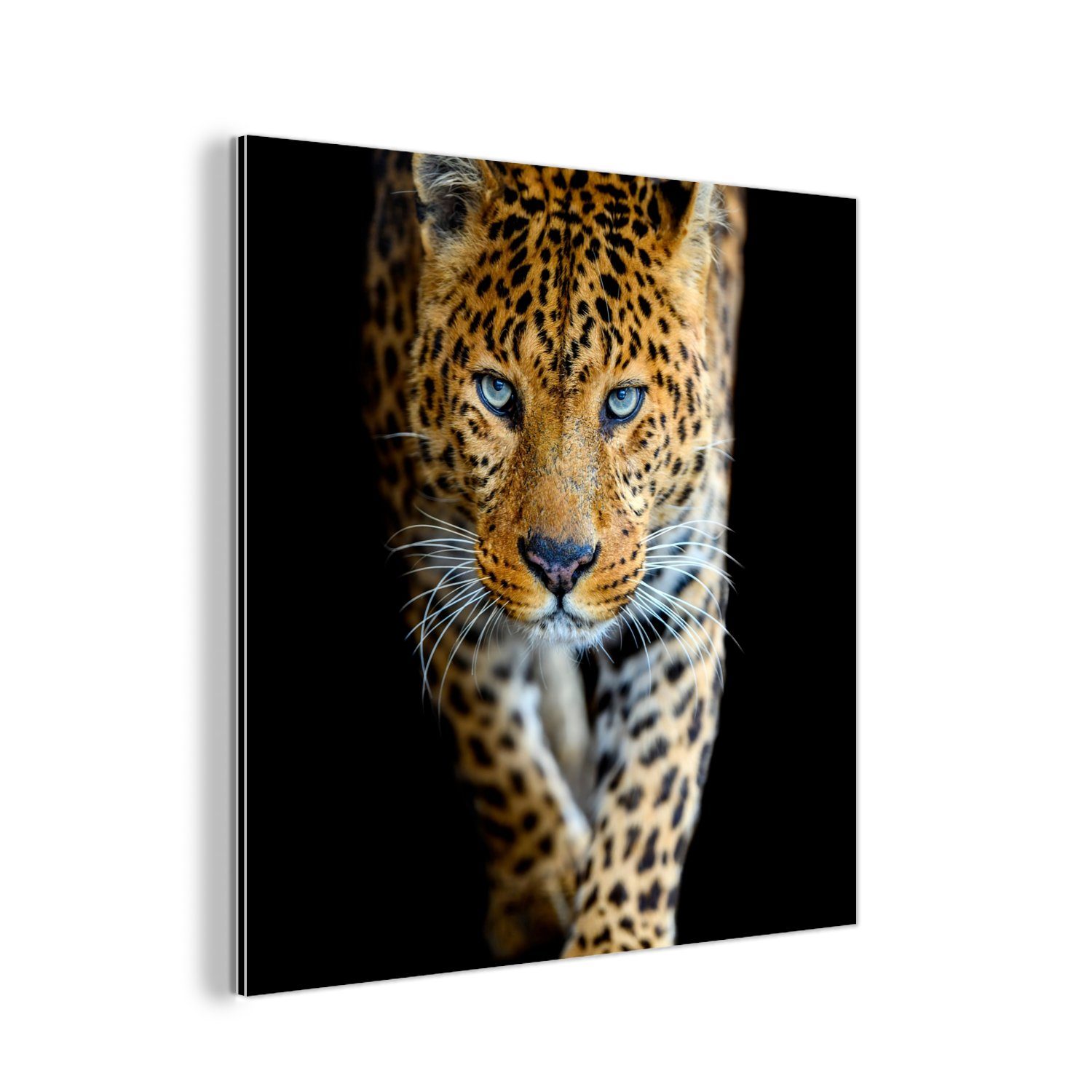 MuchoWow Metallbild Leopard - Tiere - Porträt - Wildtiere - Schwarz, (1 St), Alu-Dibond-Druck, Gemälde aus Metall, Aluminium deko