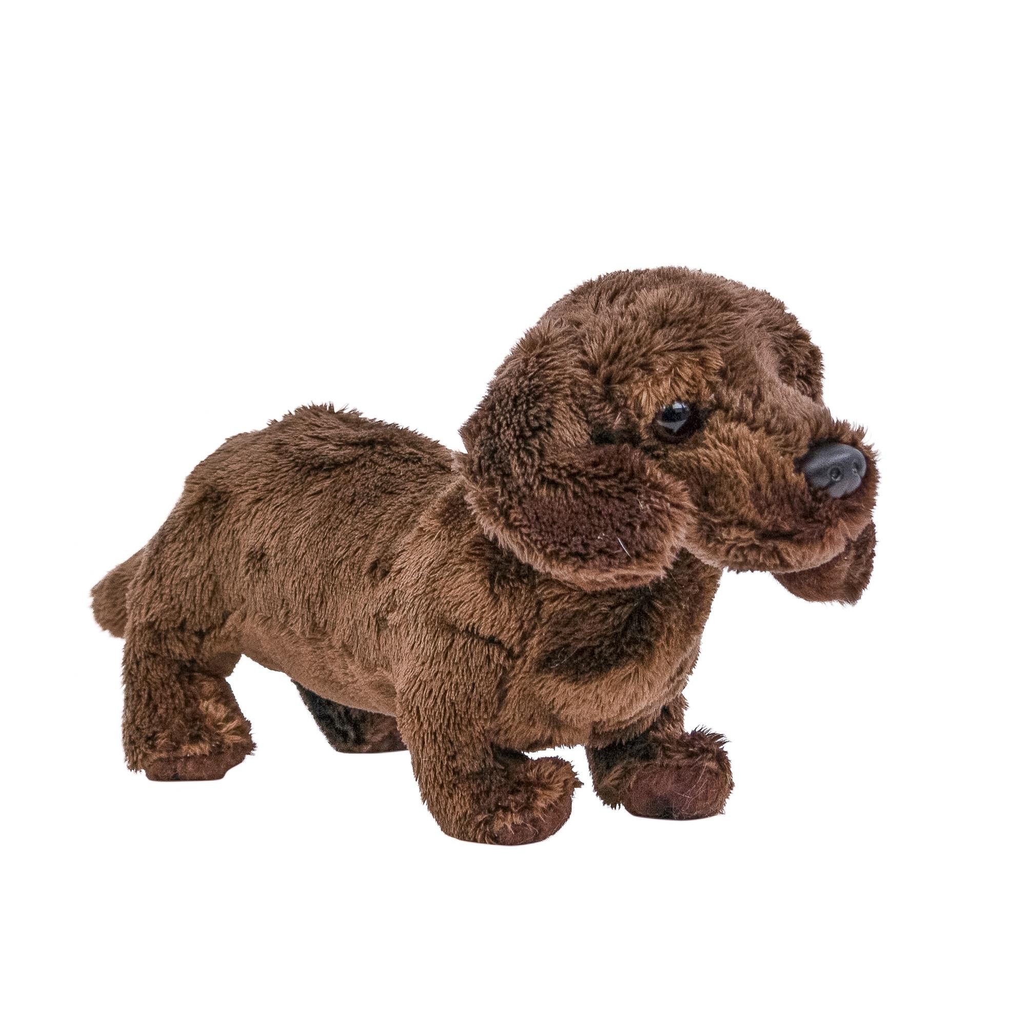 Teddys Rothenburg Kuscheltier Hund Dackel 19 cm dunkelbraun Plüschhund Stofftier (Plüschtier, Stoffhund, Plüschdackel, Stoffdackel)