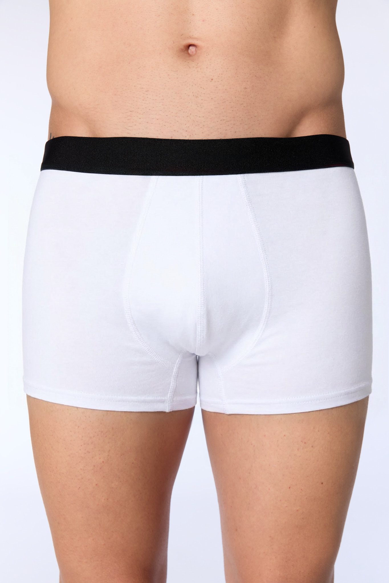 Boxershorts Trunk Shorts