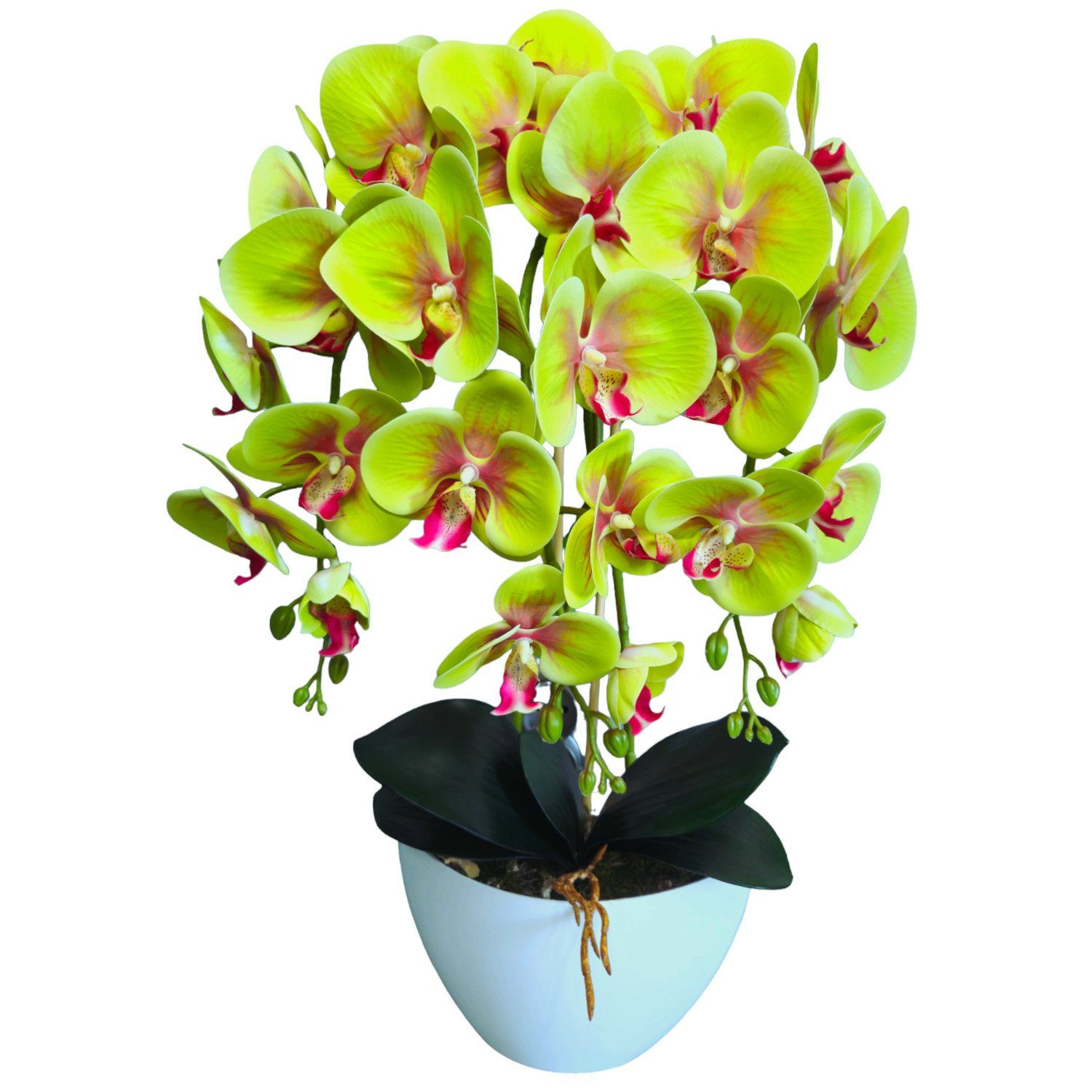 Kunstorchidee Orchidee, damich, Höhe 60 cm, Künstliche Orchideenblumen Orchidee grün